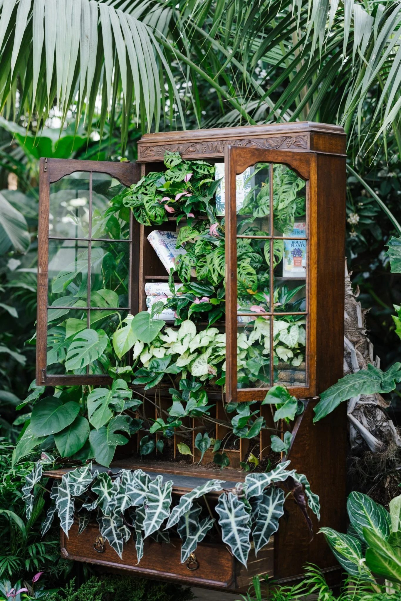 EL VALOR DEL CRECIMIENTO PERSONAL