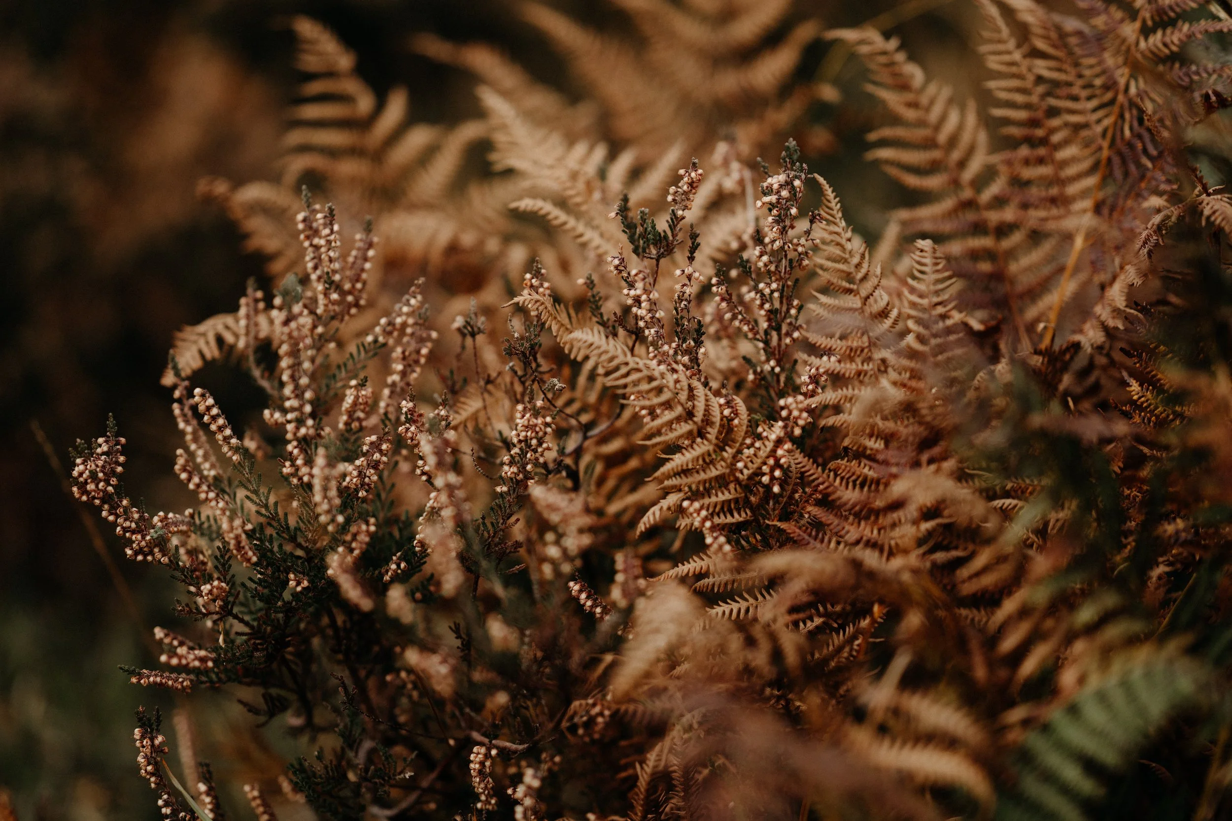 QUÉ HACER CUANDO ALGUIEN SE VA DE TU EQUIPO