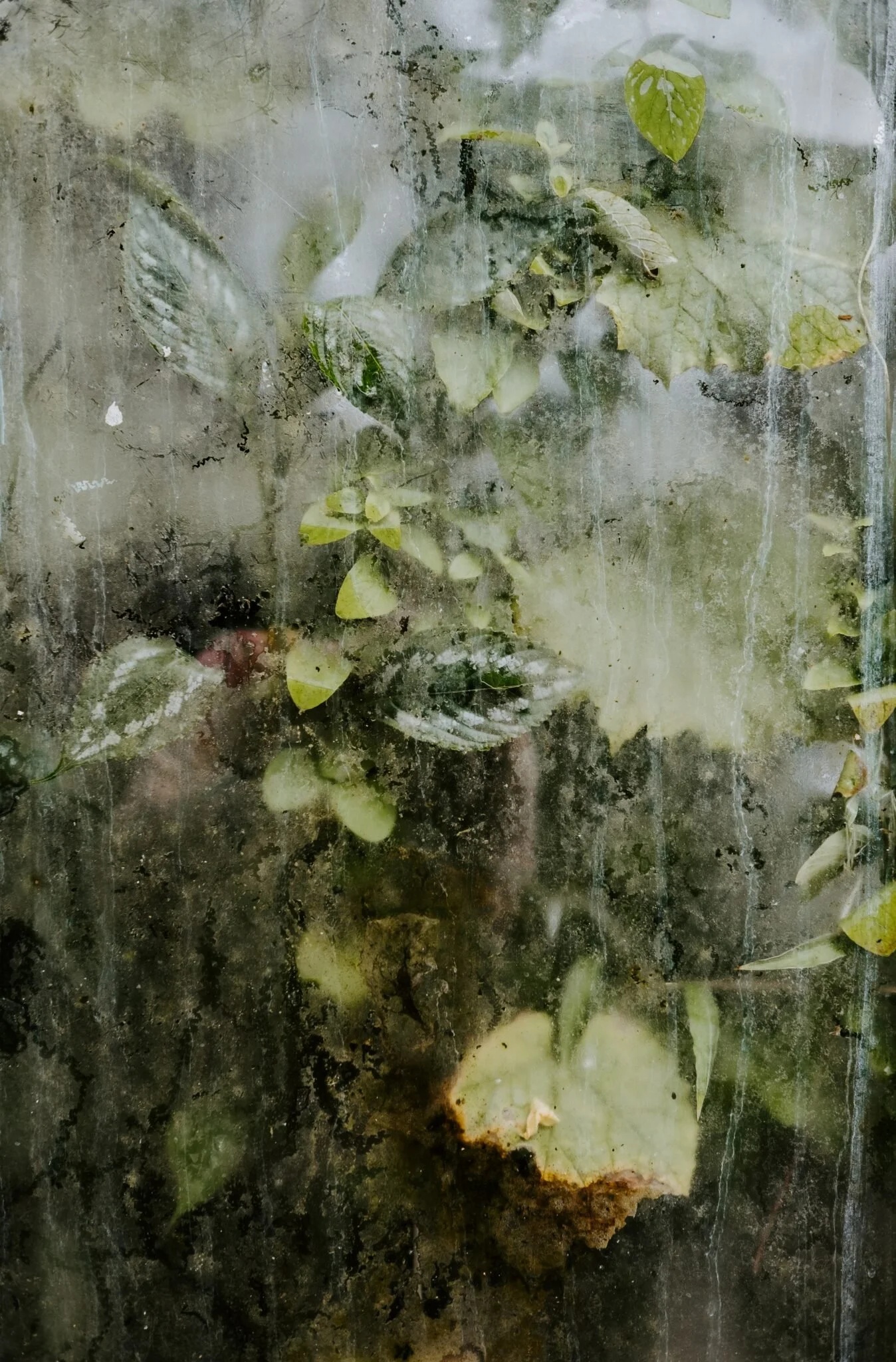 UNA VISIÓN CLARA PARA IMPLEMENTAR TU PROYECTO