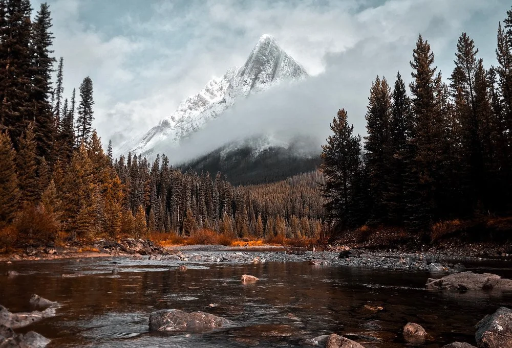 EN MEDIO DE LA NATURALEZA: CÓMO ENCONTRAR INSPIRACIÓN PARA EL TRABAJO