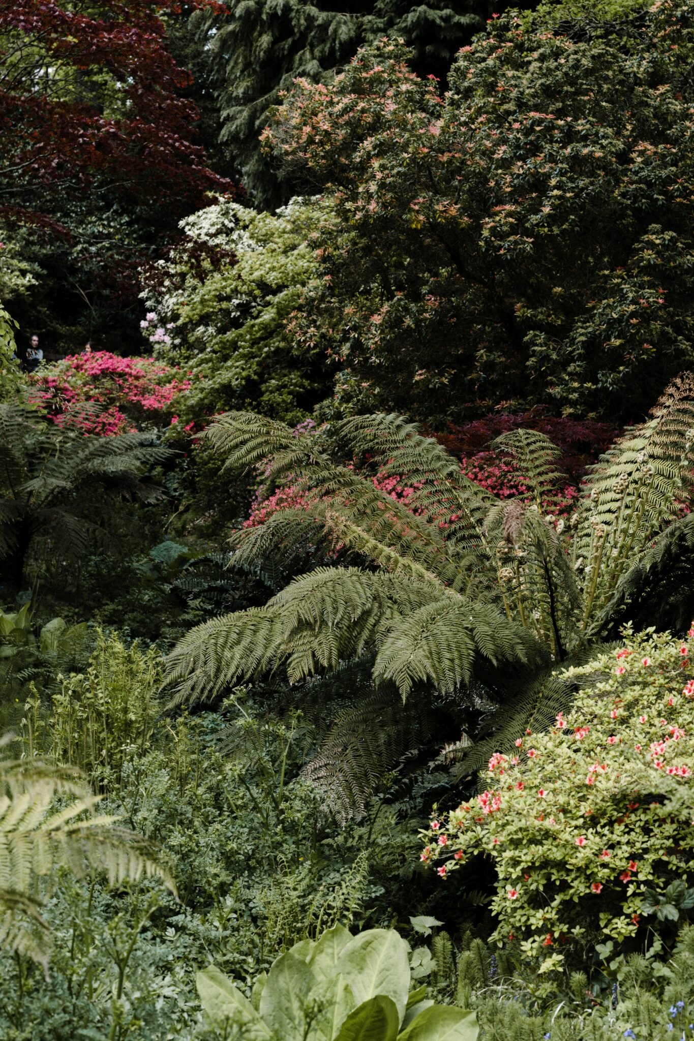 CÓMO RECUPERARSE DESPUÉS DE COMETER UN ERROR