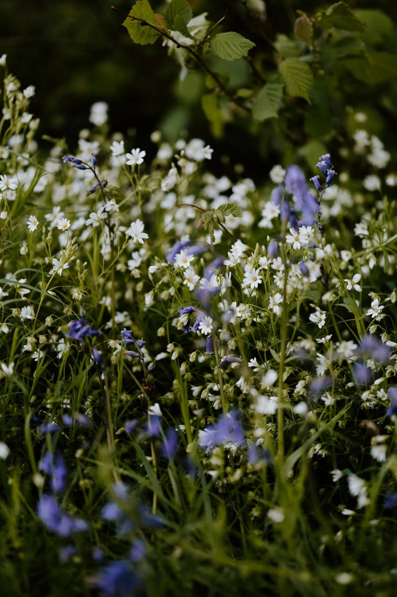 SEPARA TU IDENTIDAD PERSONAL Y PROFESIONAL