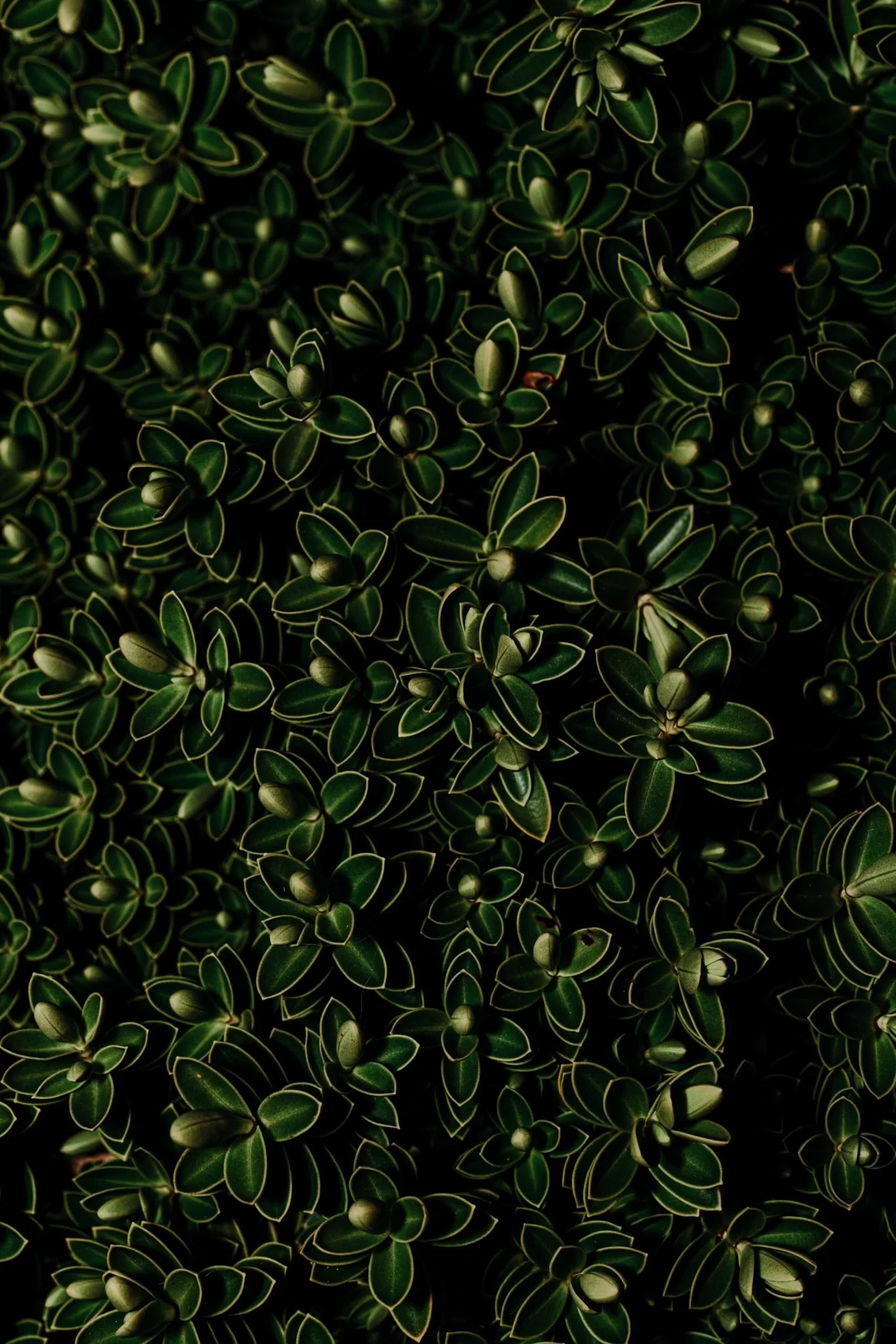 ESTRATEGIAS PARA APRENDER A TOMAR MEJORES DECISIONES