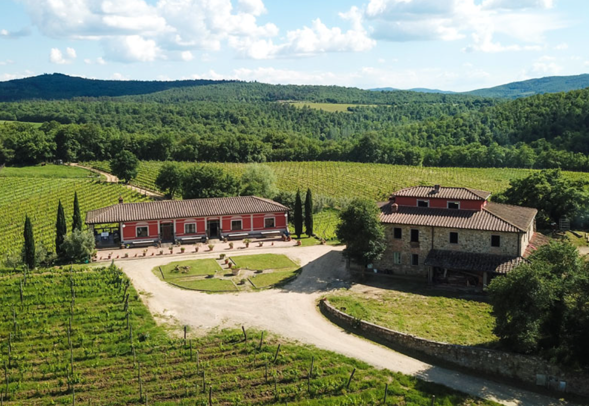 Valdarno-wine-Poggio-Molina-05-18-2026_02_21_PM.png