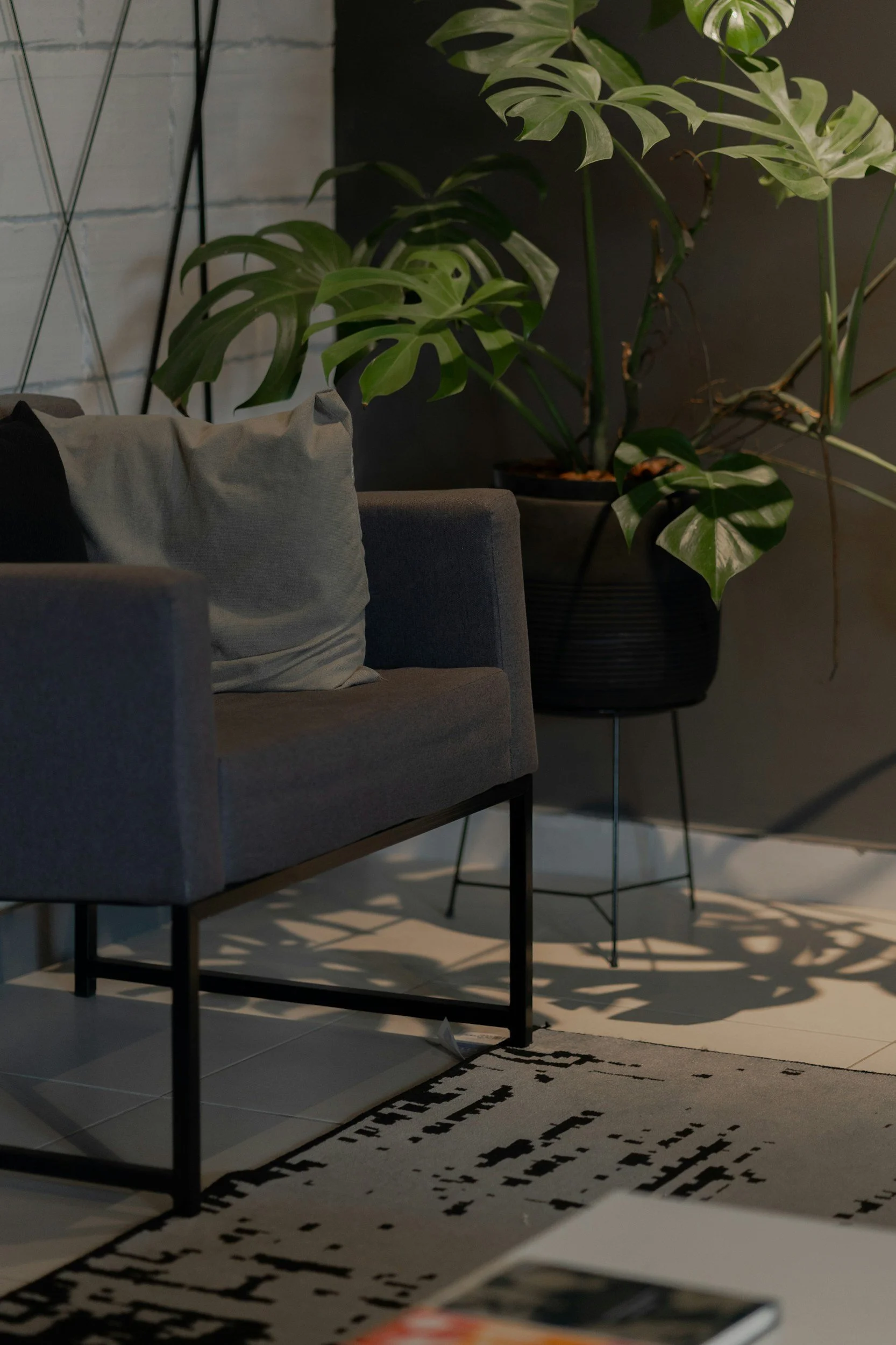 Indoor scene with a gray sofa with cushions, a large potted plant with green leaves, a rug with a black pattern, and a white brick wall with metal decor.