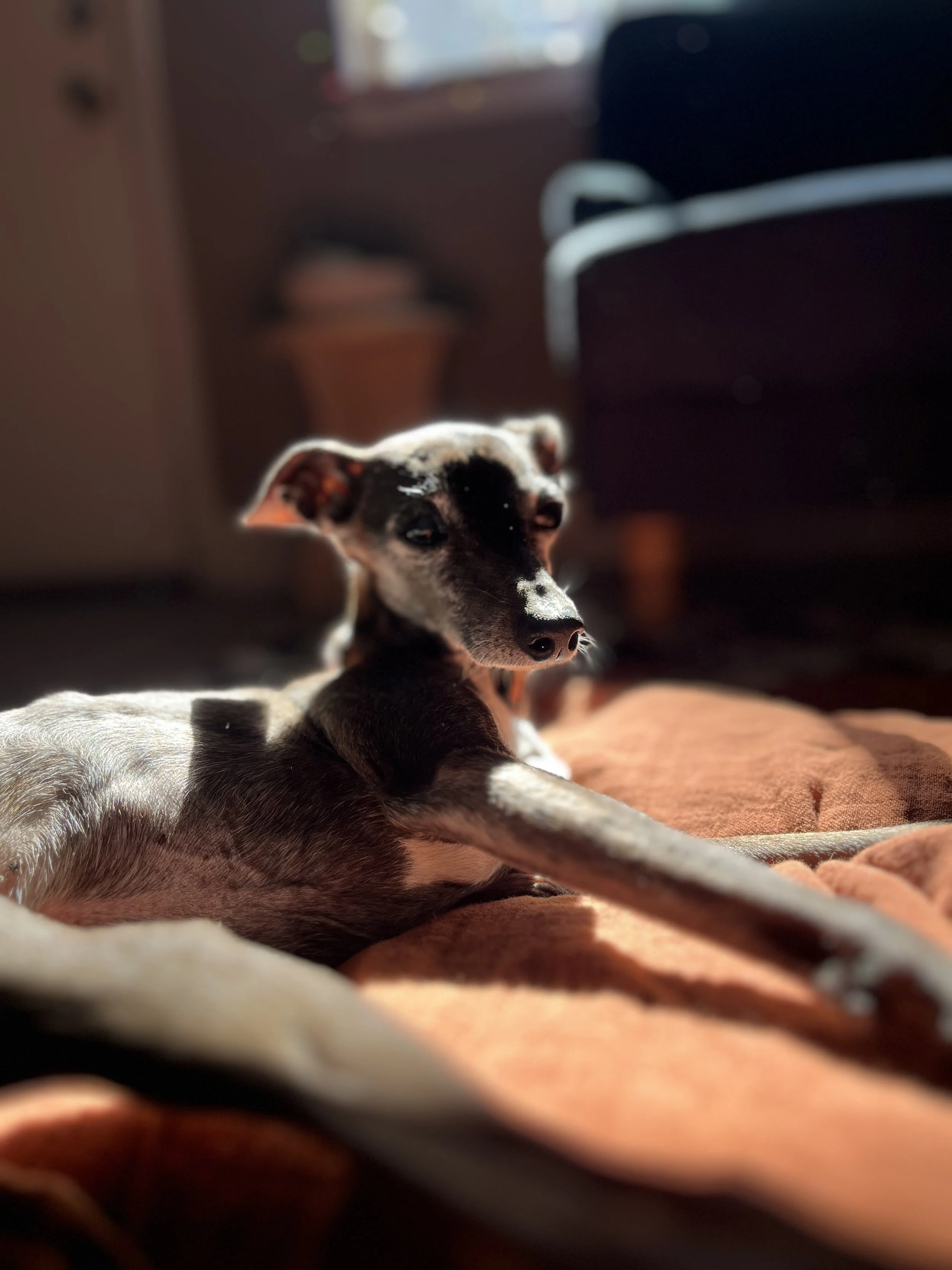 Workshops & Online Learning