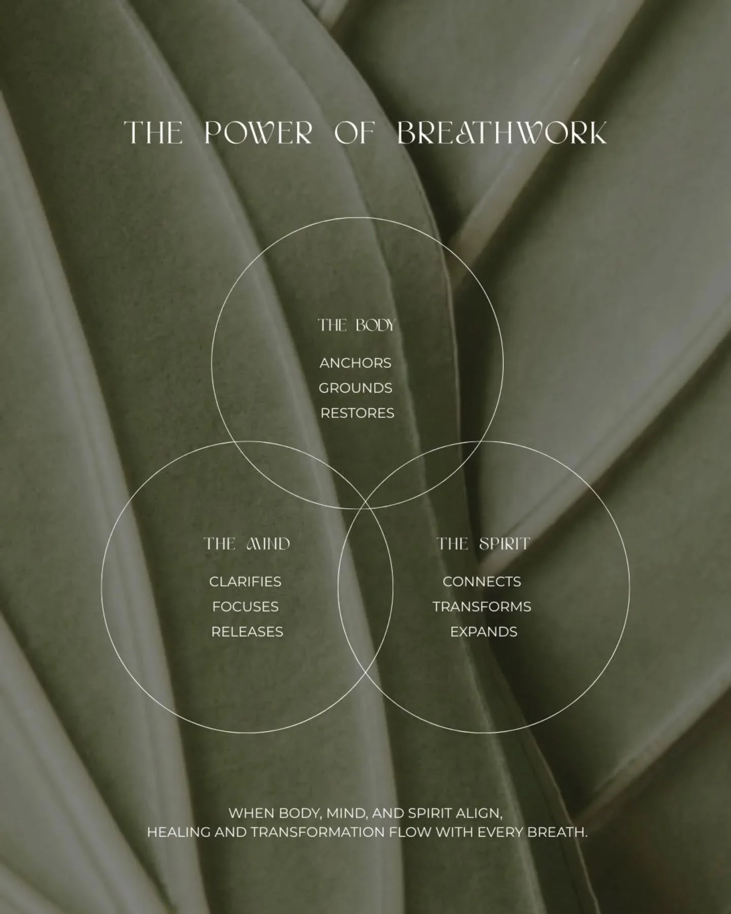 ✨️🍃✨️🍃✨️🍃✨️🍃
The countdown begins! Only 3 days until Ethel Tea & Therapy's first Breathwork class!
I'm beyond excited to share the transformative power of this practice with you all.
Dont qorry if you missed out on this one. Stay tuned fo