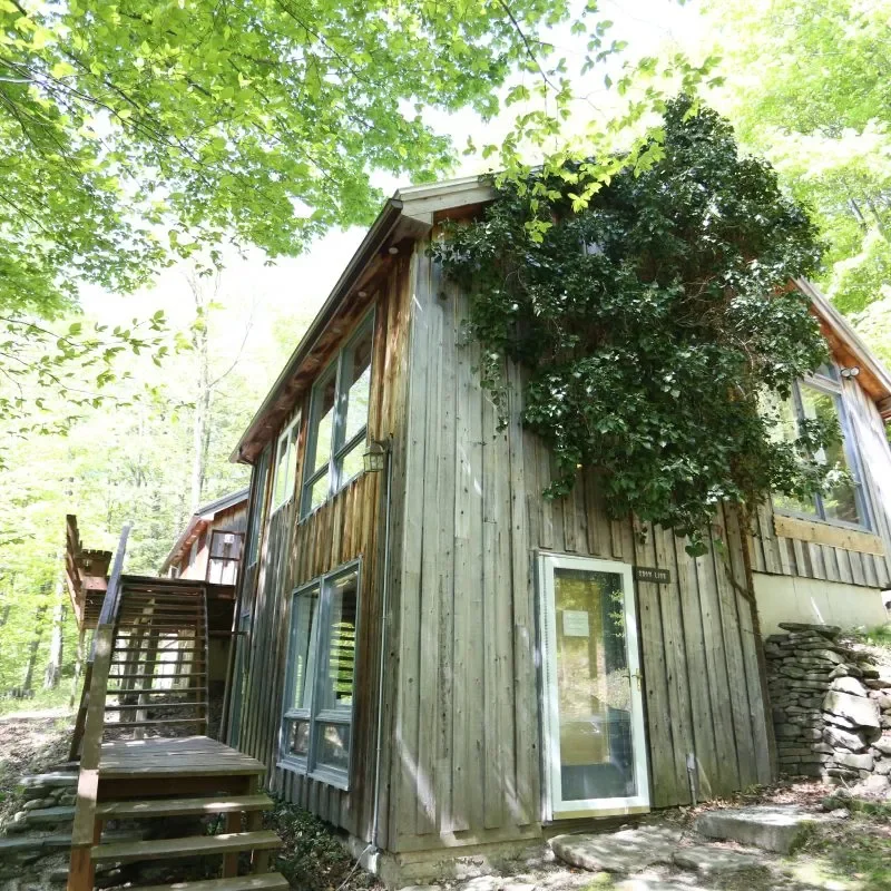 Snowlion Cabin