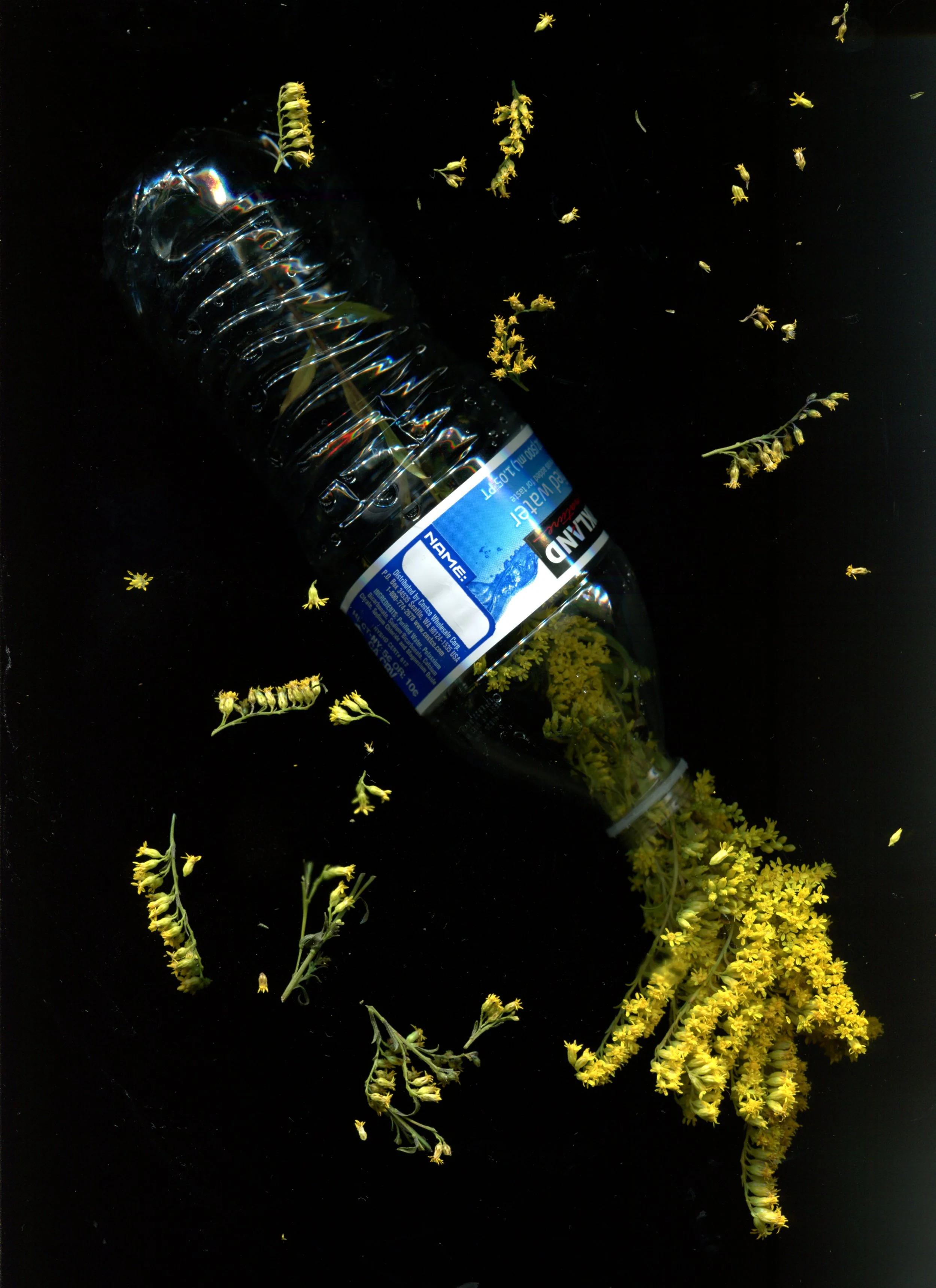 water004.jpg