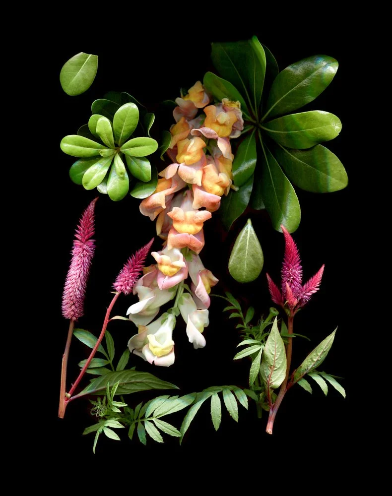 flowers003.jpg