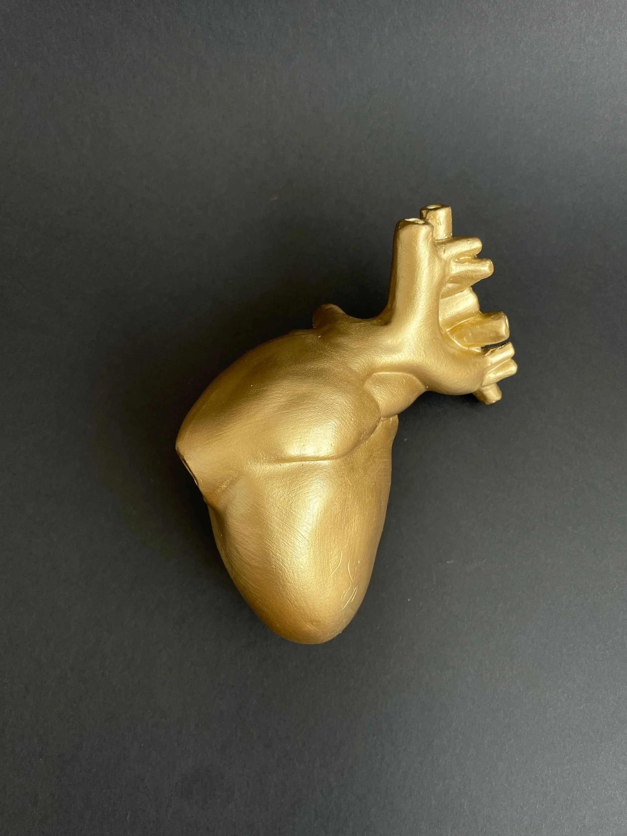 corazon2_2.jpg