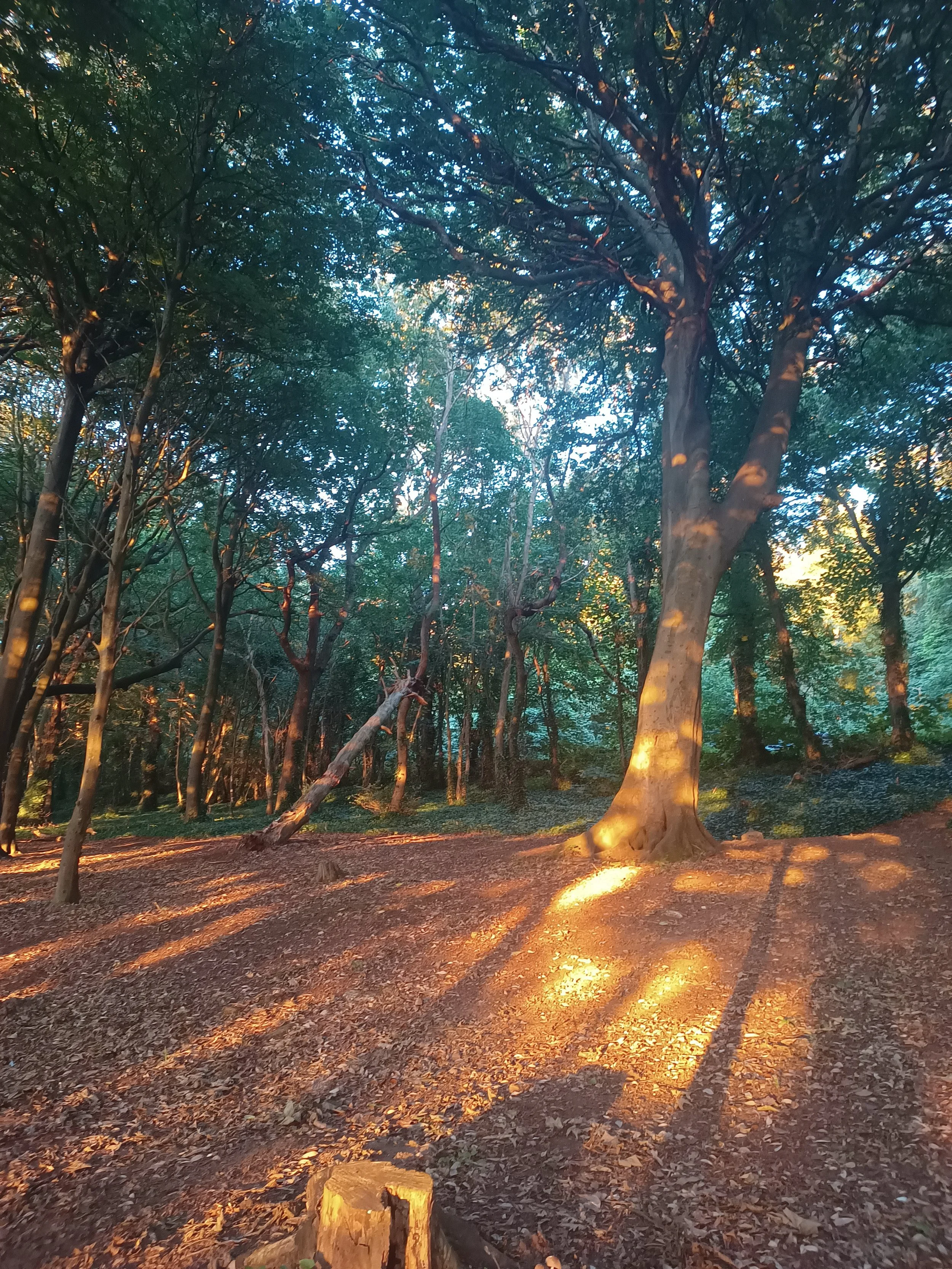 Reflecting on the Summer Solstice Gathering
