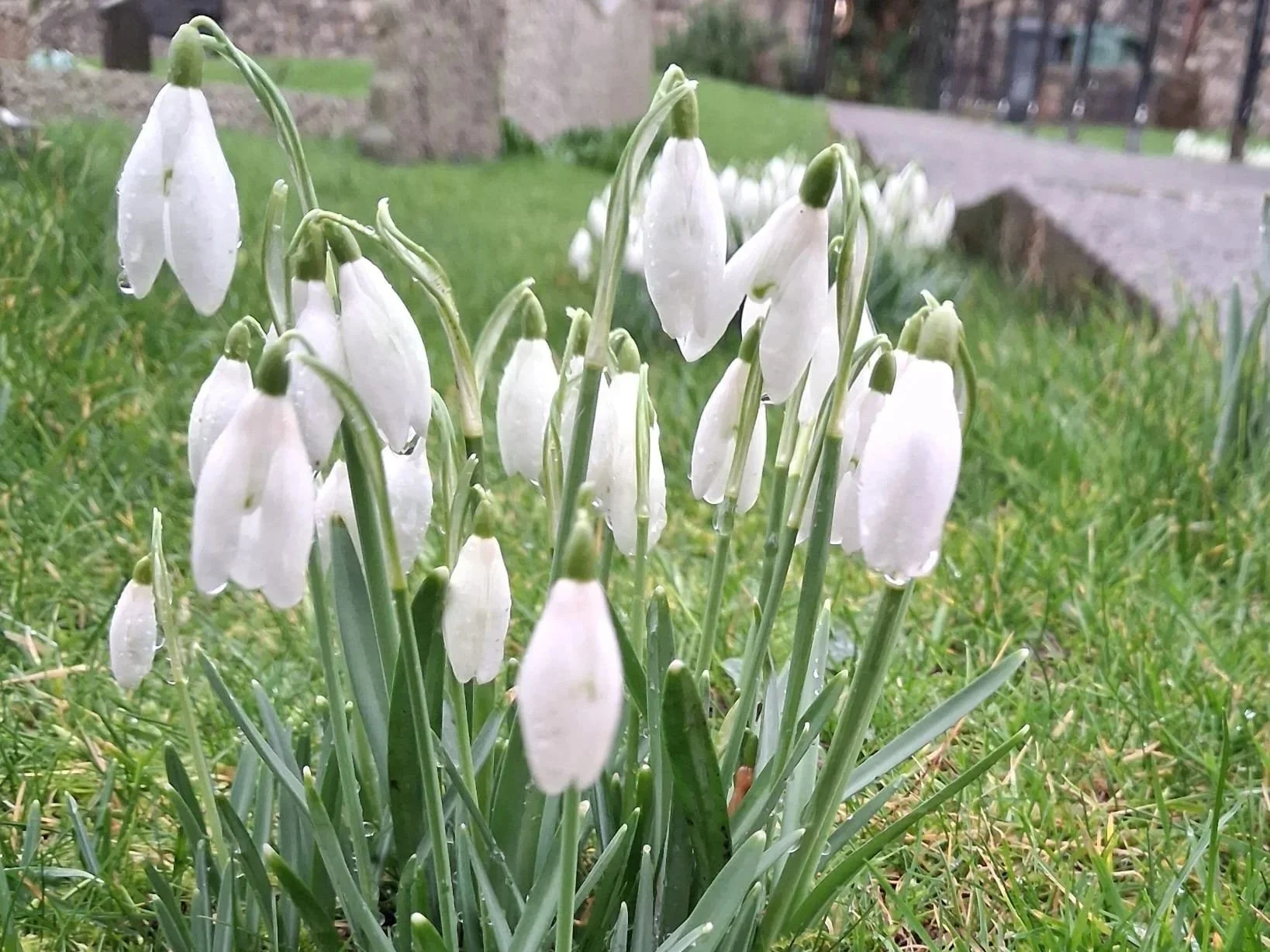 Why We Mark Imbolc