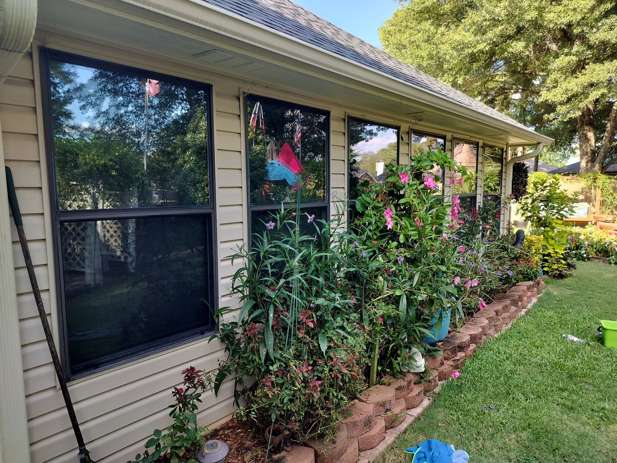 The Window Care Club   Premium Selection*