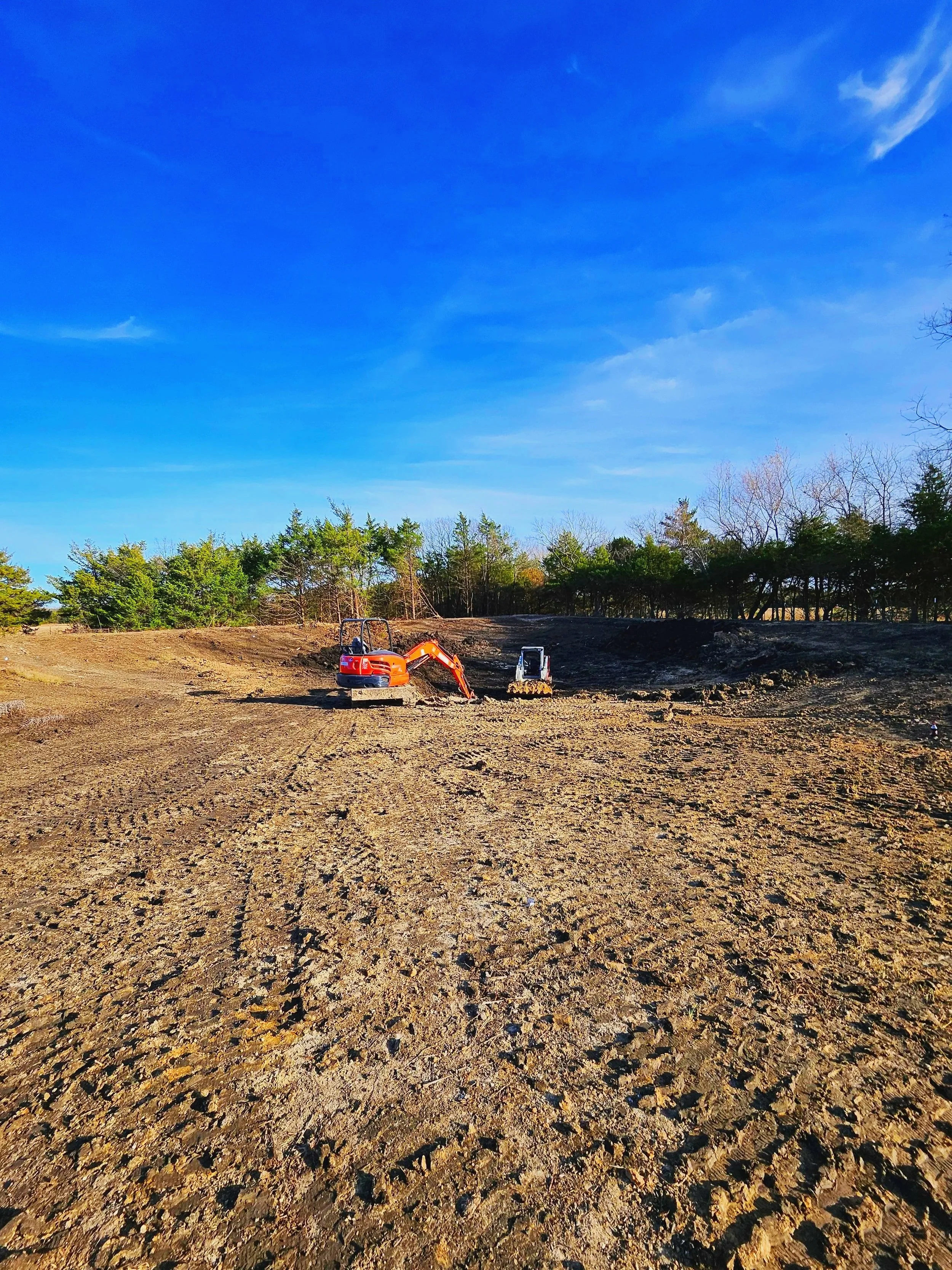 New pond