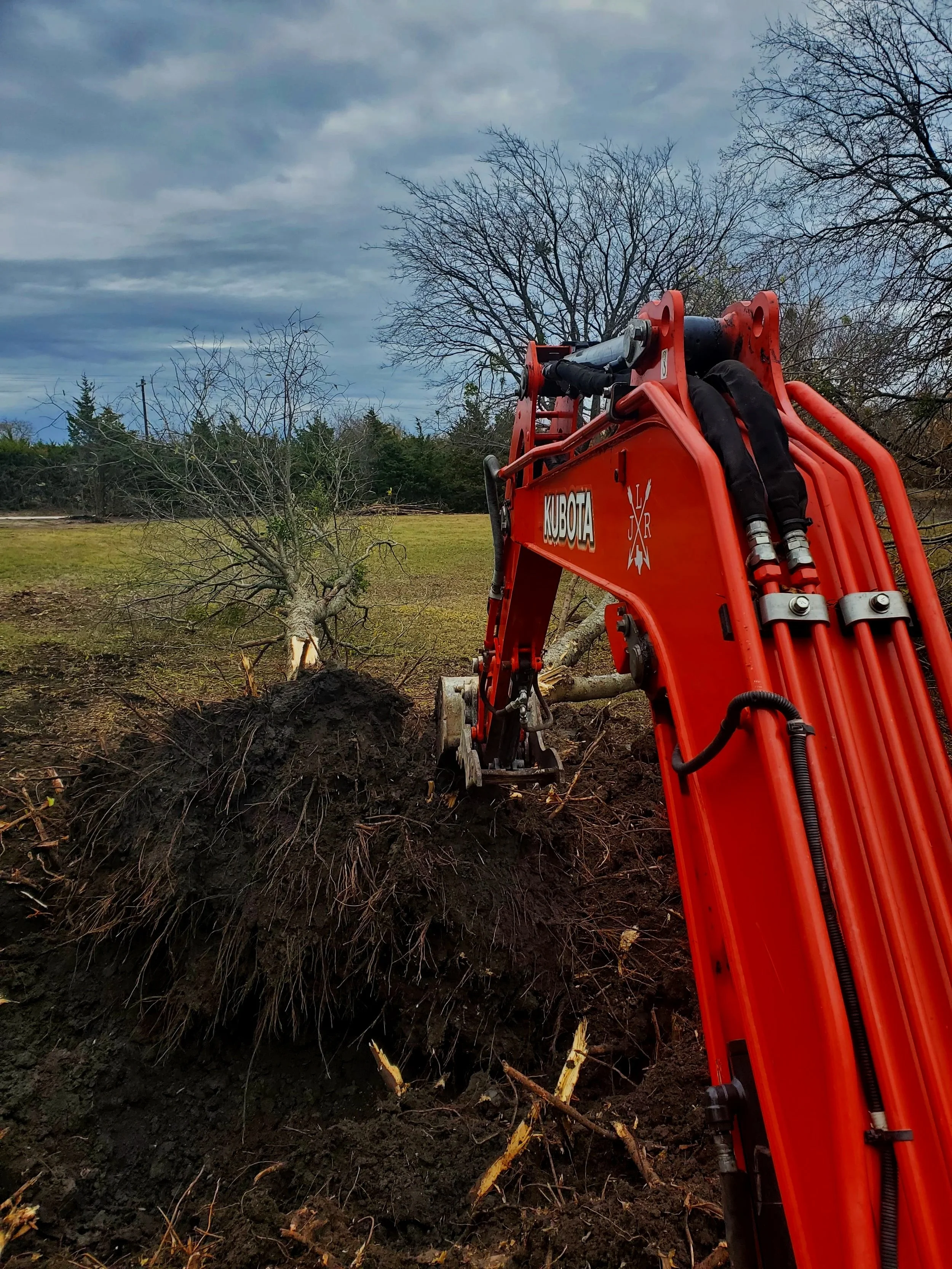 Tree removle
