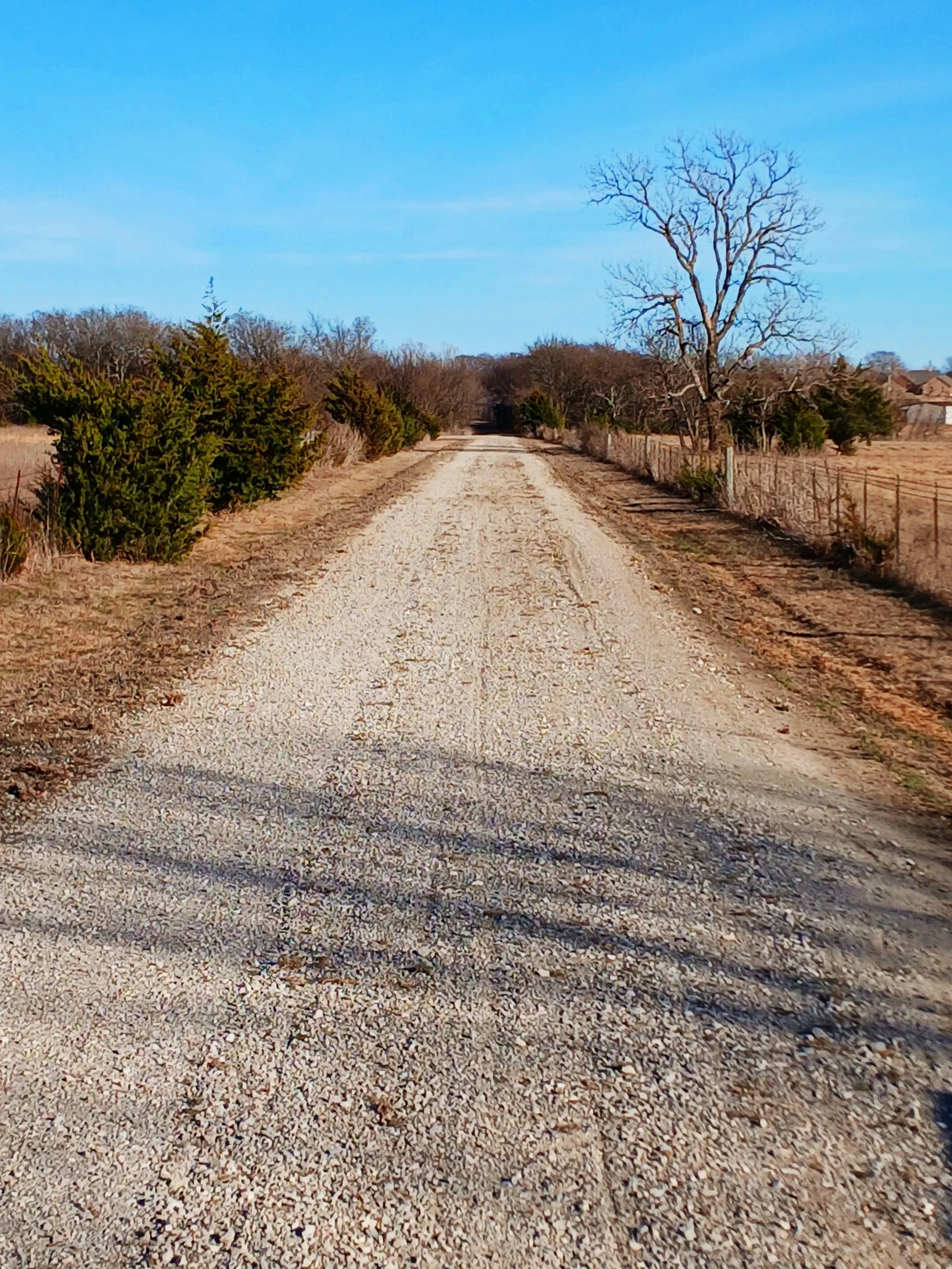 refresh driveway restoration
