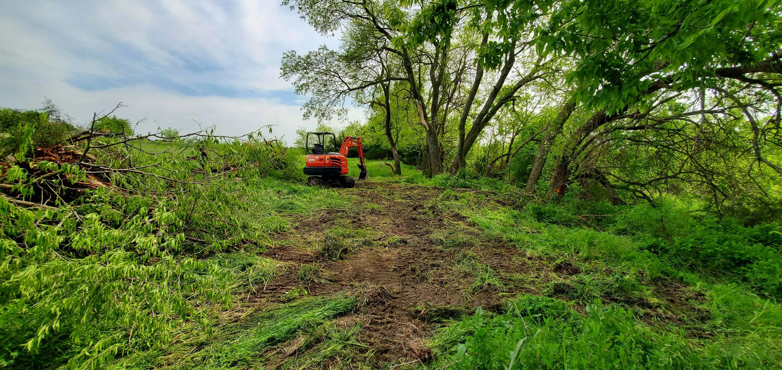 Land clearing
