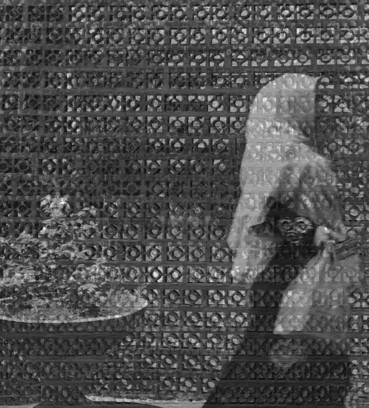 Ibu