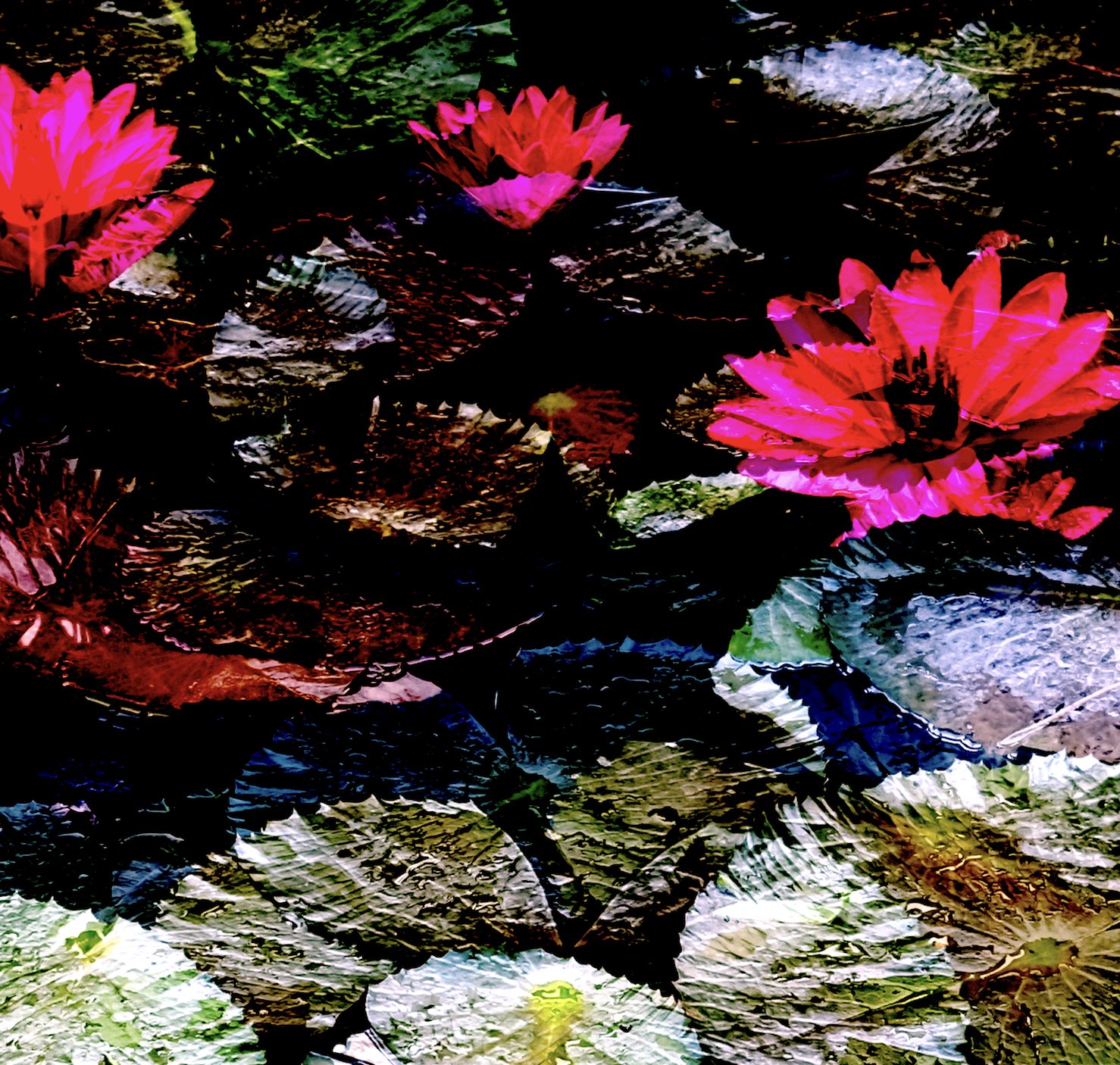 Lotus 2