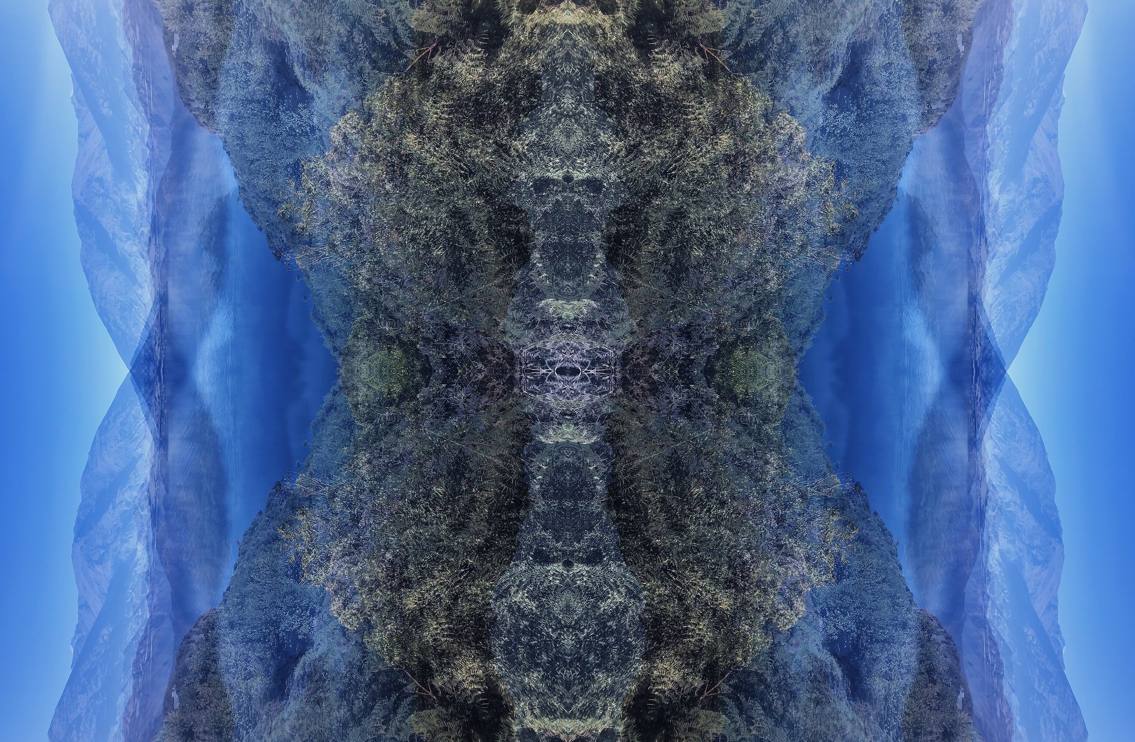 Womb