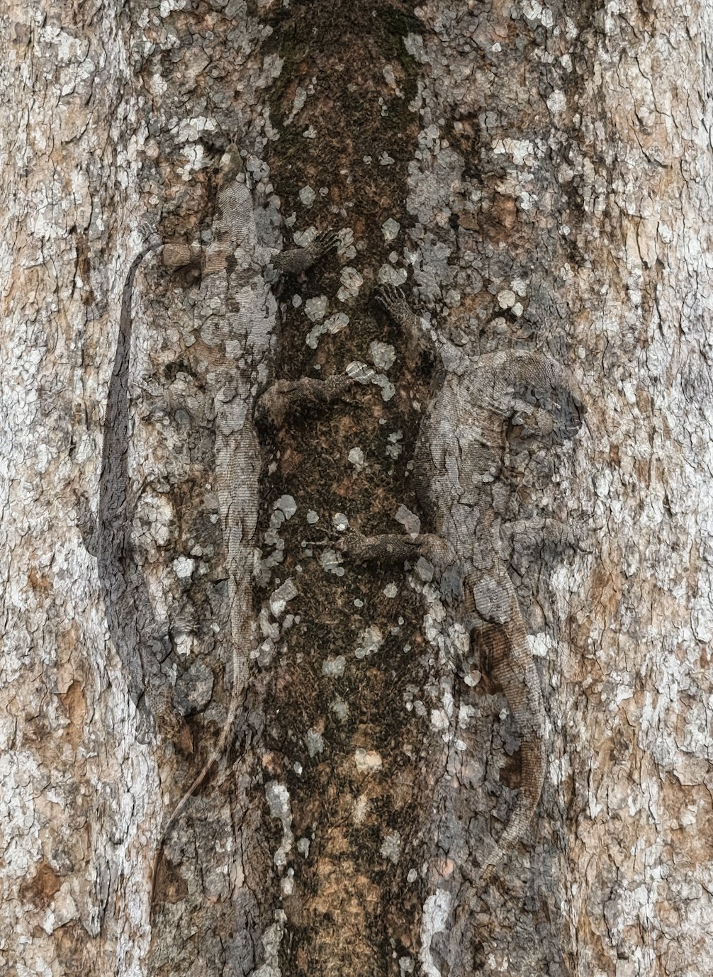 5789eutyrshgdf.jpg