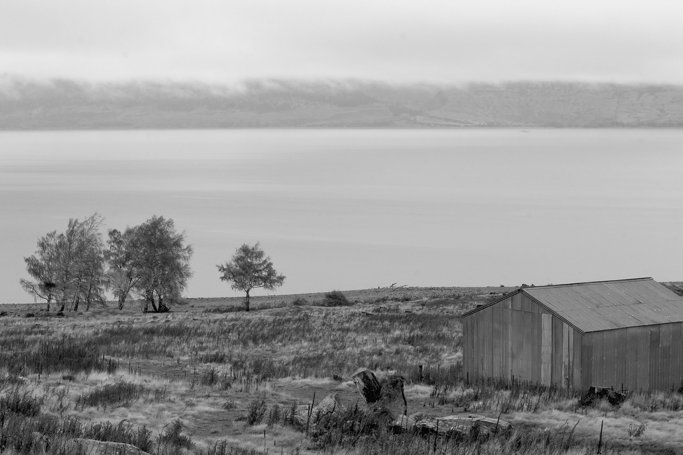 Looking Across Pukaki