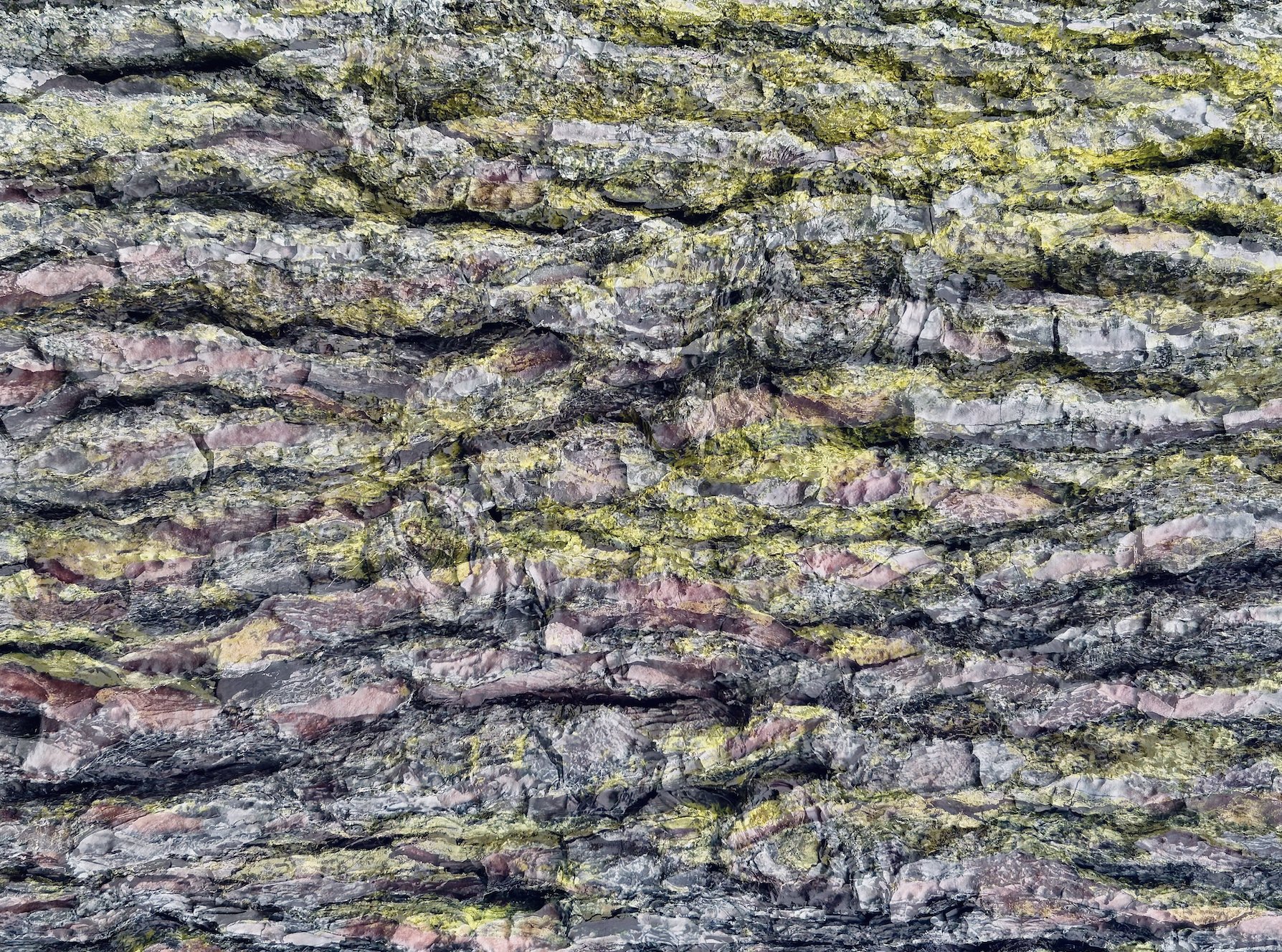 Bark