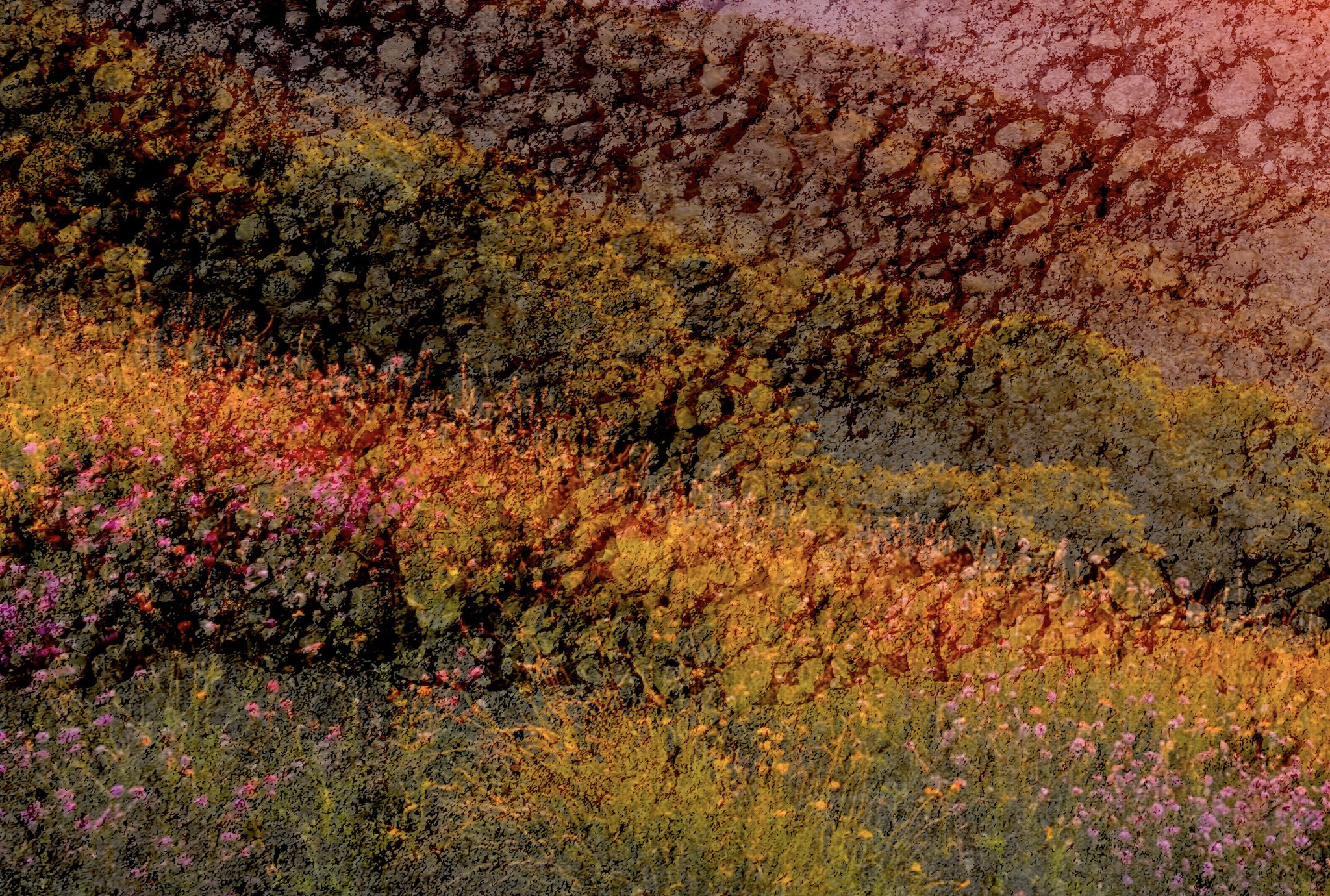 Late Spring Near Sotogrande