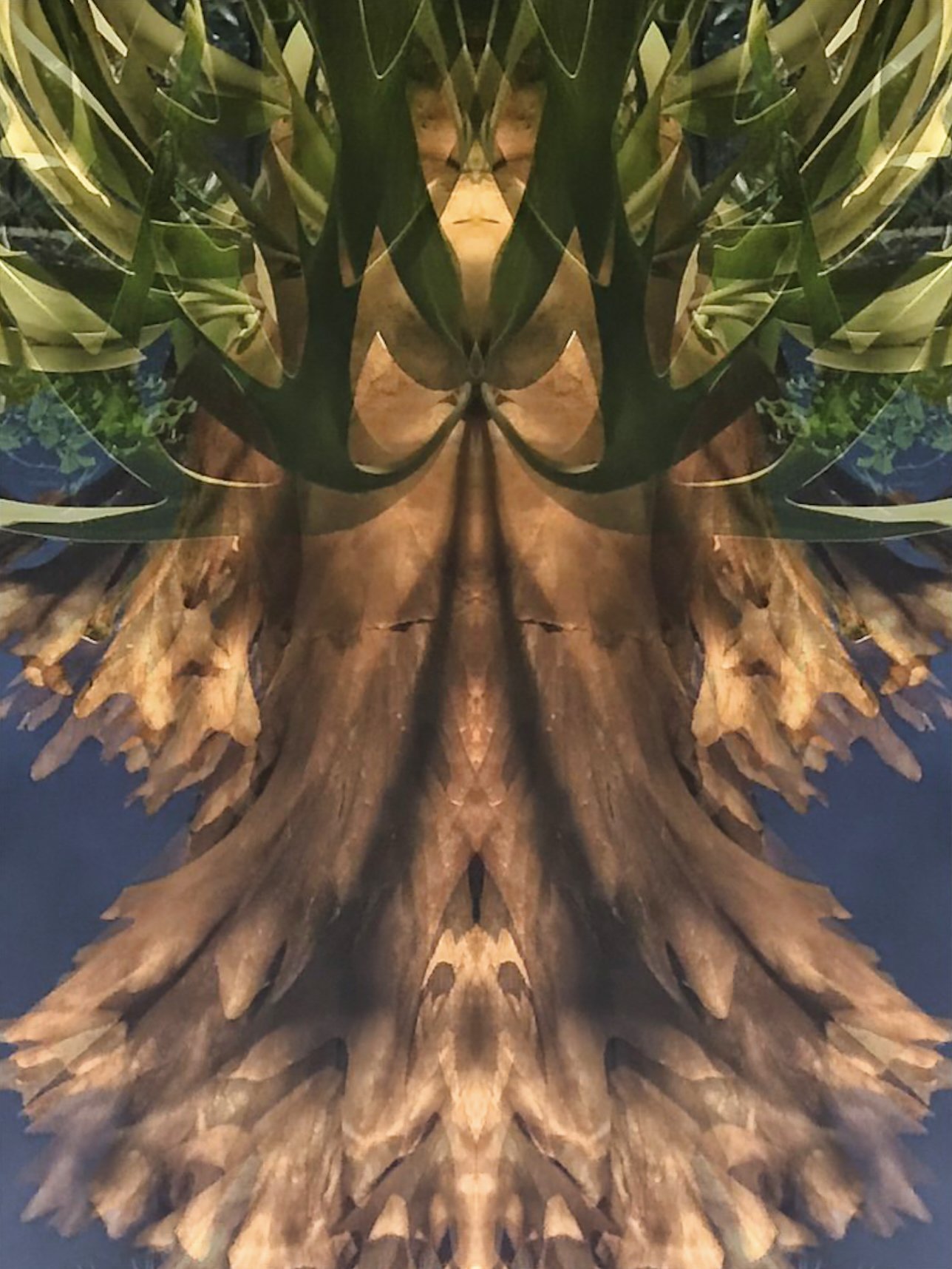 Suspended Belief