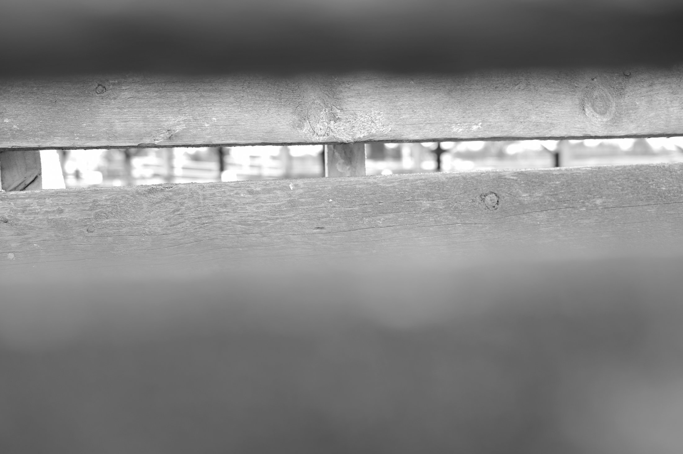 1006.jpg