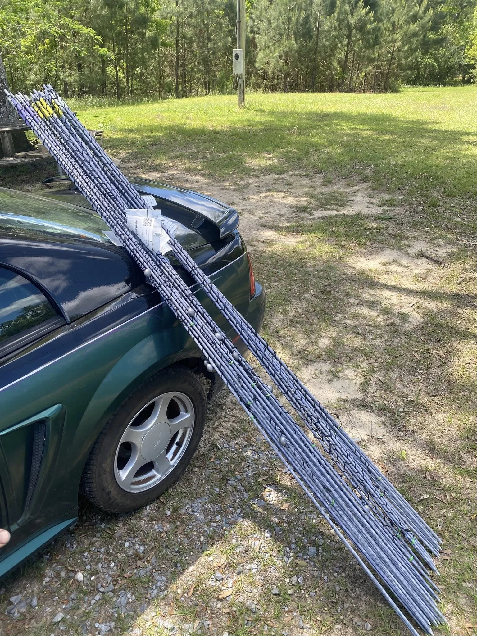 bank poles.jpg