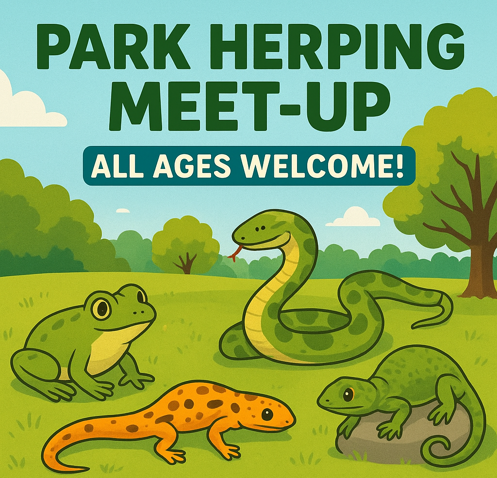🦎 Park Herping Meet-Up – All Ages Welcome! 🐢