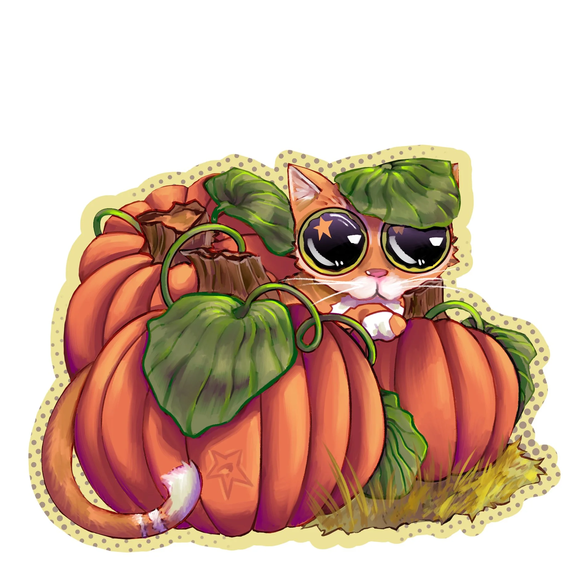 pumkincat.jpg