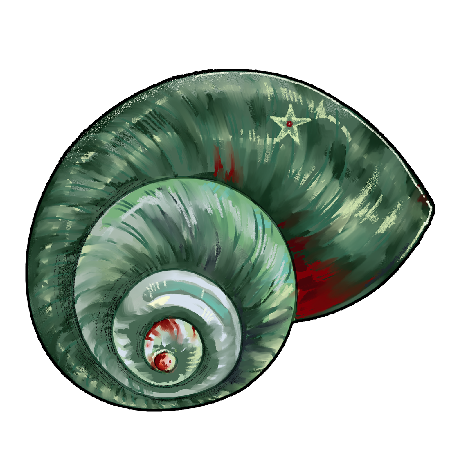 shell02.png