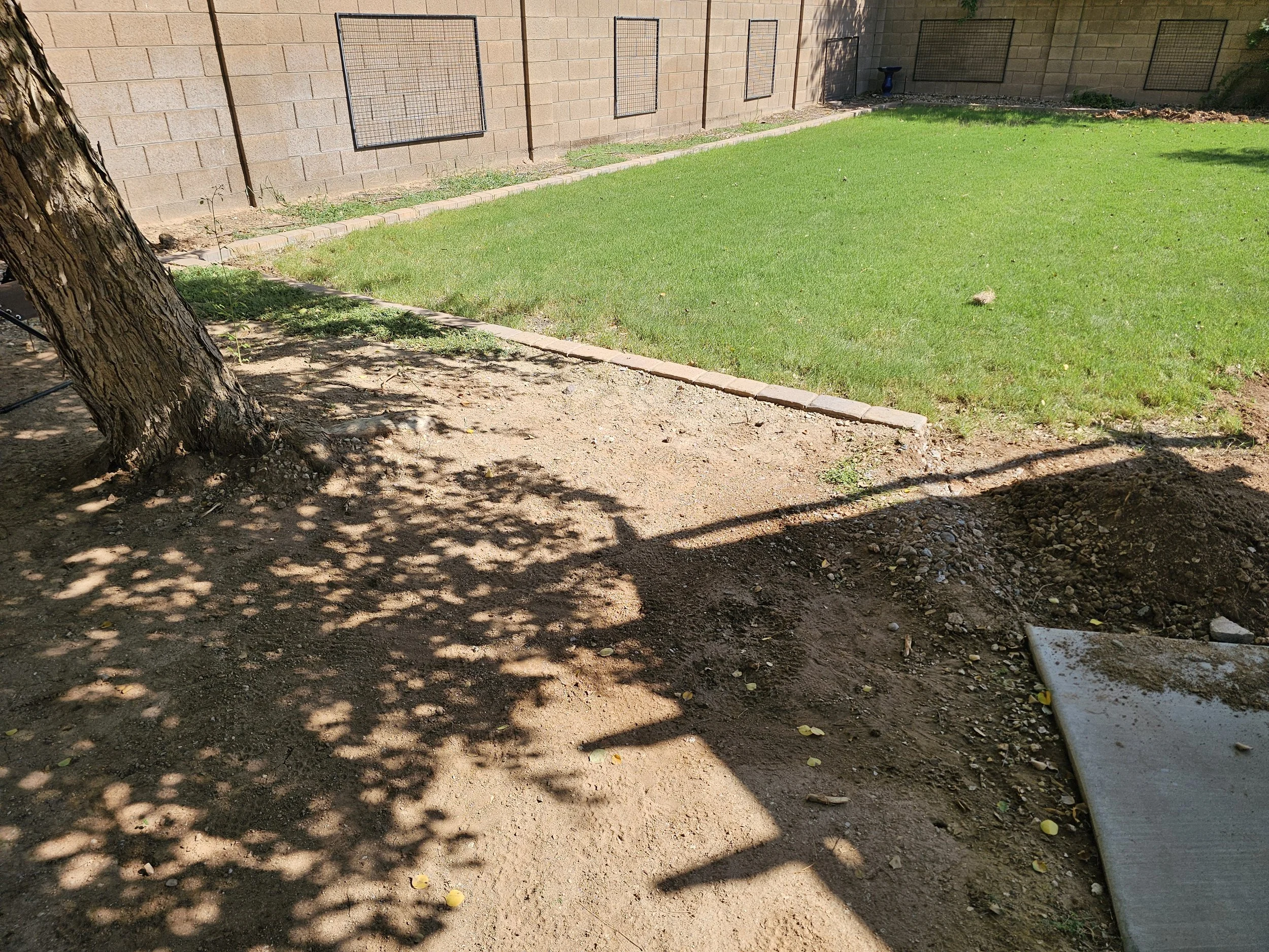 20250905_150252.jpg