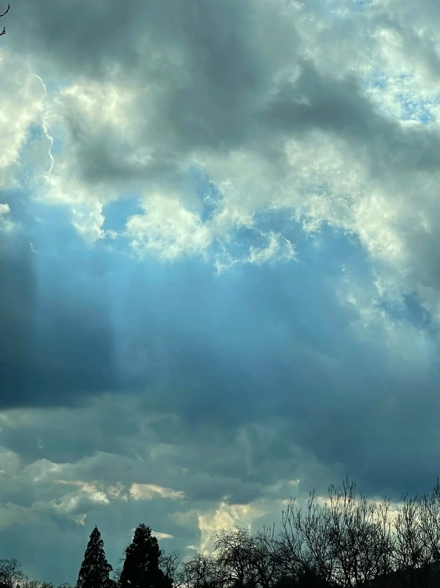 Cloudy sky with patches of blue and sun rays, silhouettes of leafless trees at the bottom.