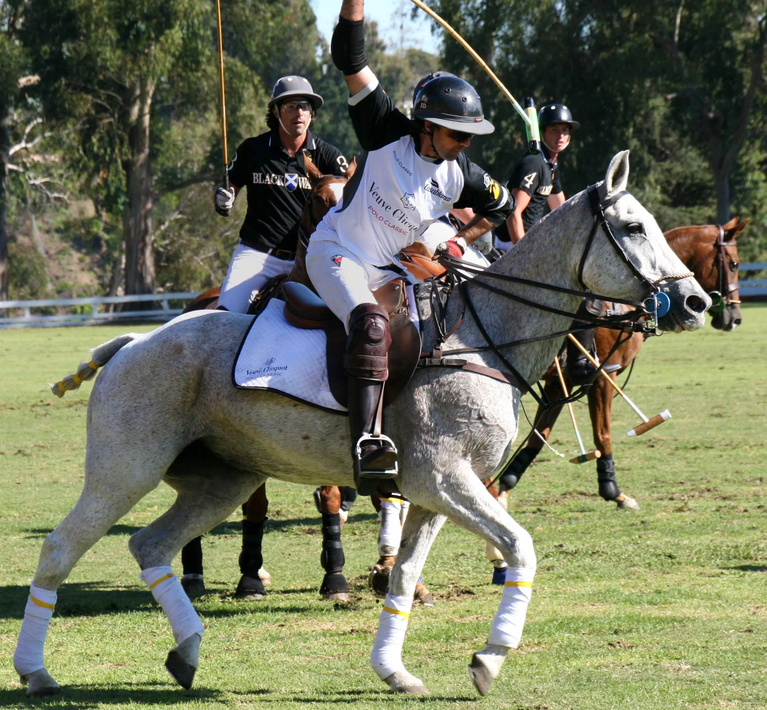 Polo43.jpg
