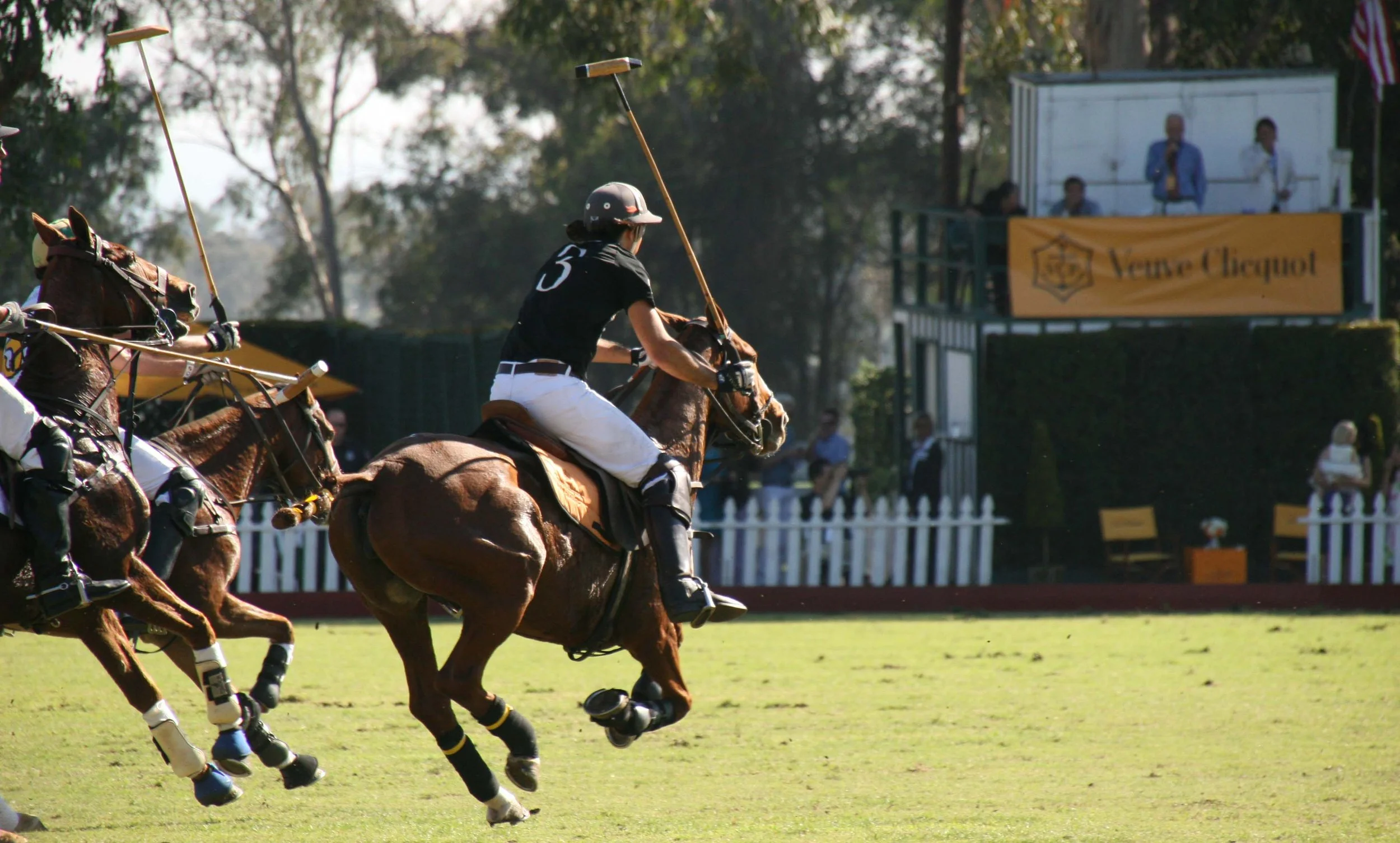 Polo42.jpg