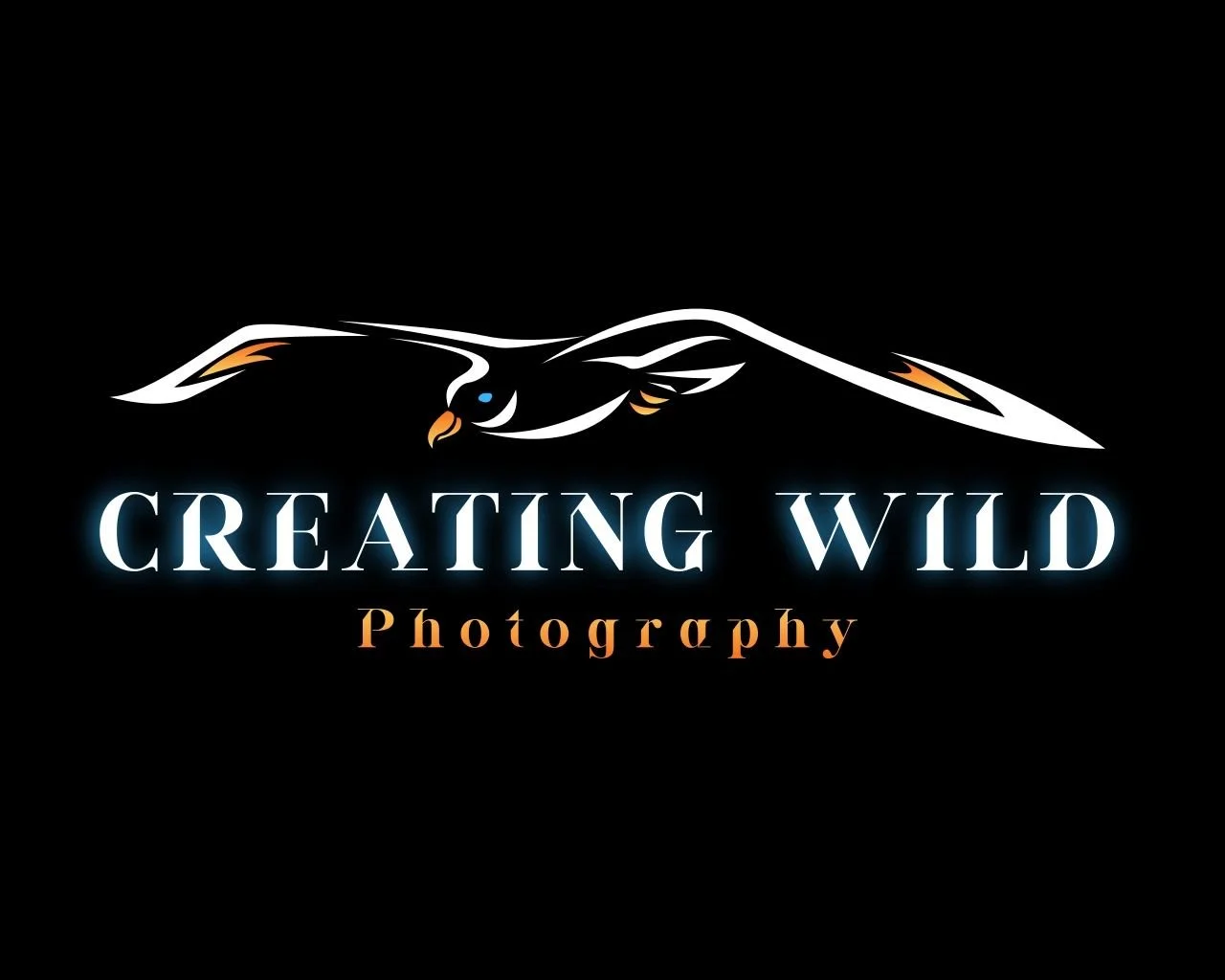 Creating Wild