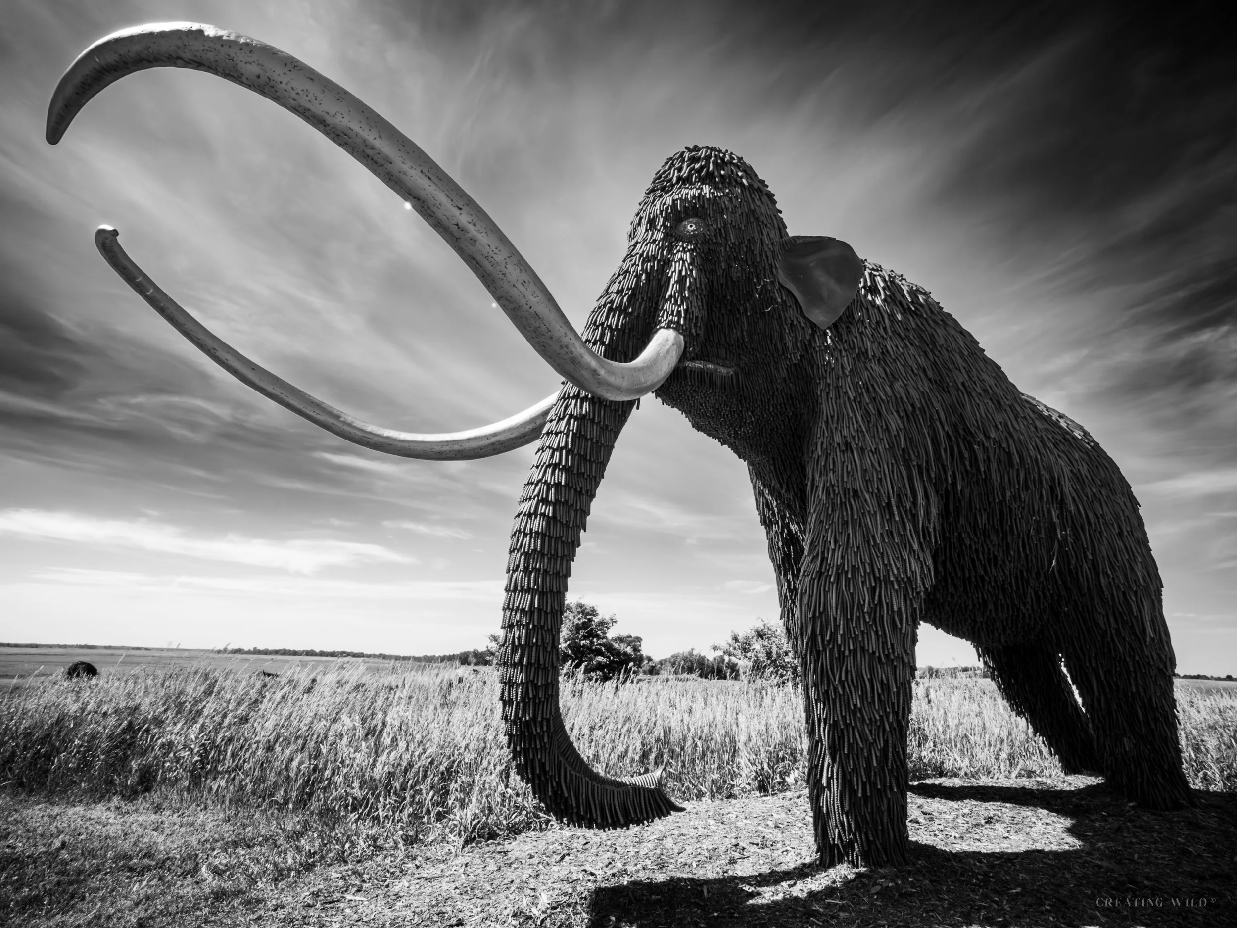 Woolly Mammoth
