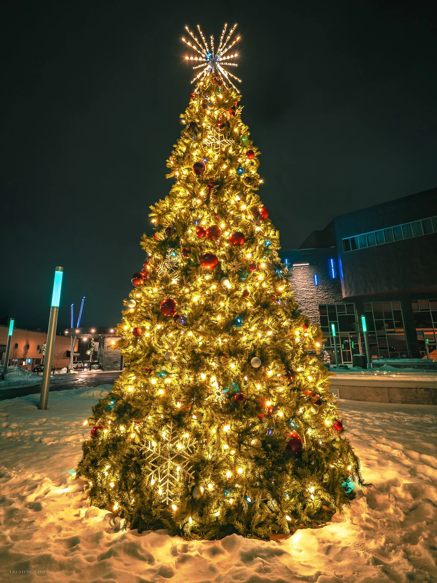 Christmas Tree @ the Pablo