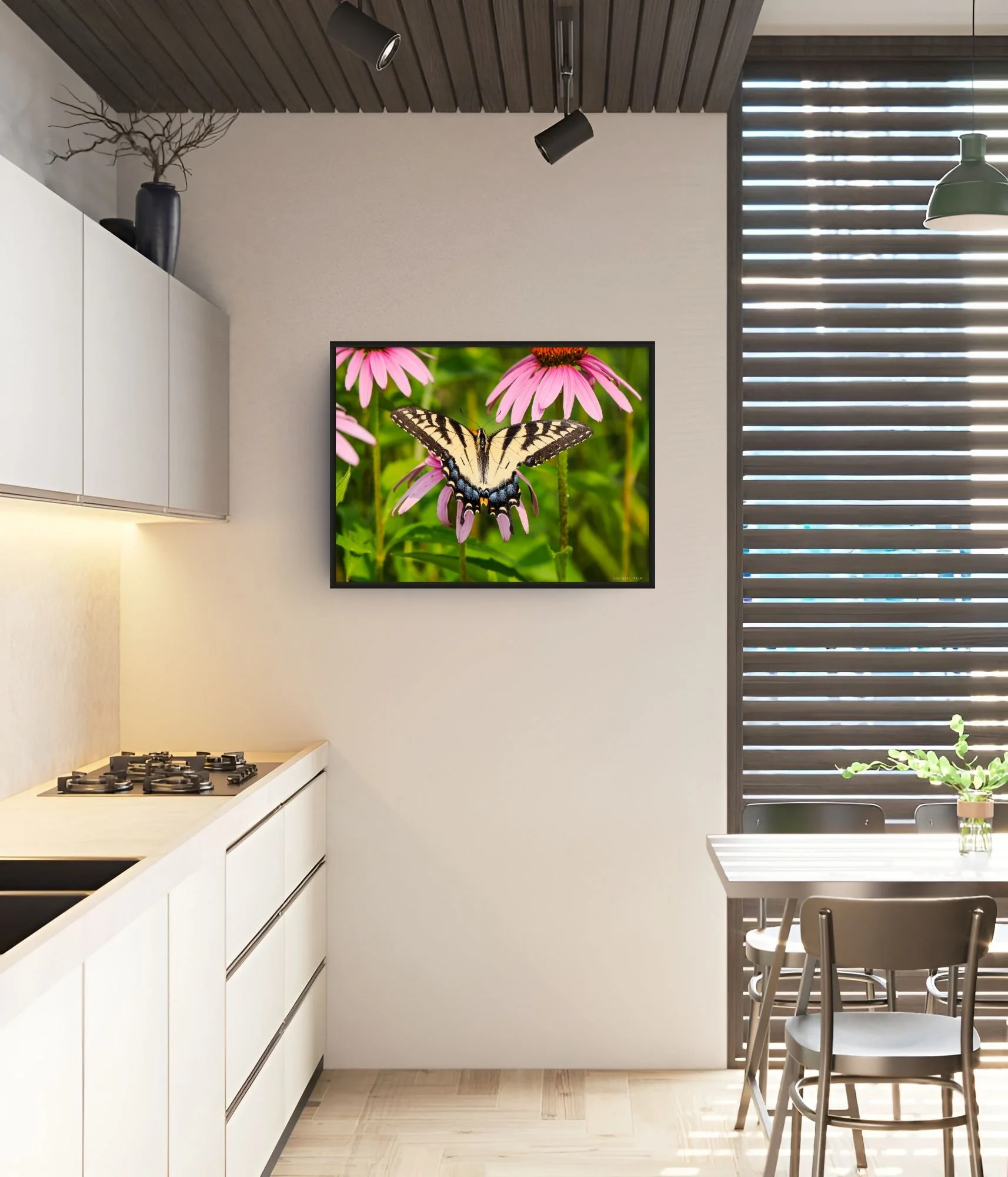eastern tiger swallowtail screen-full.jpg