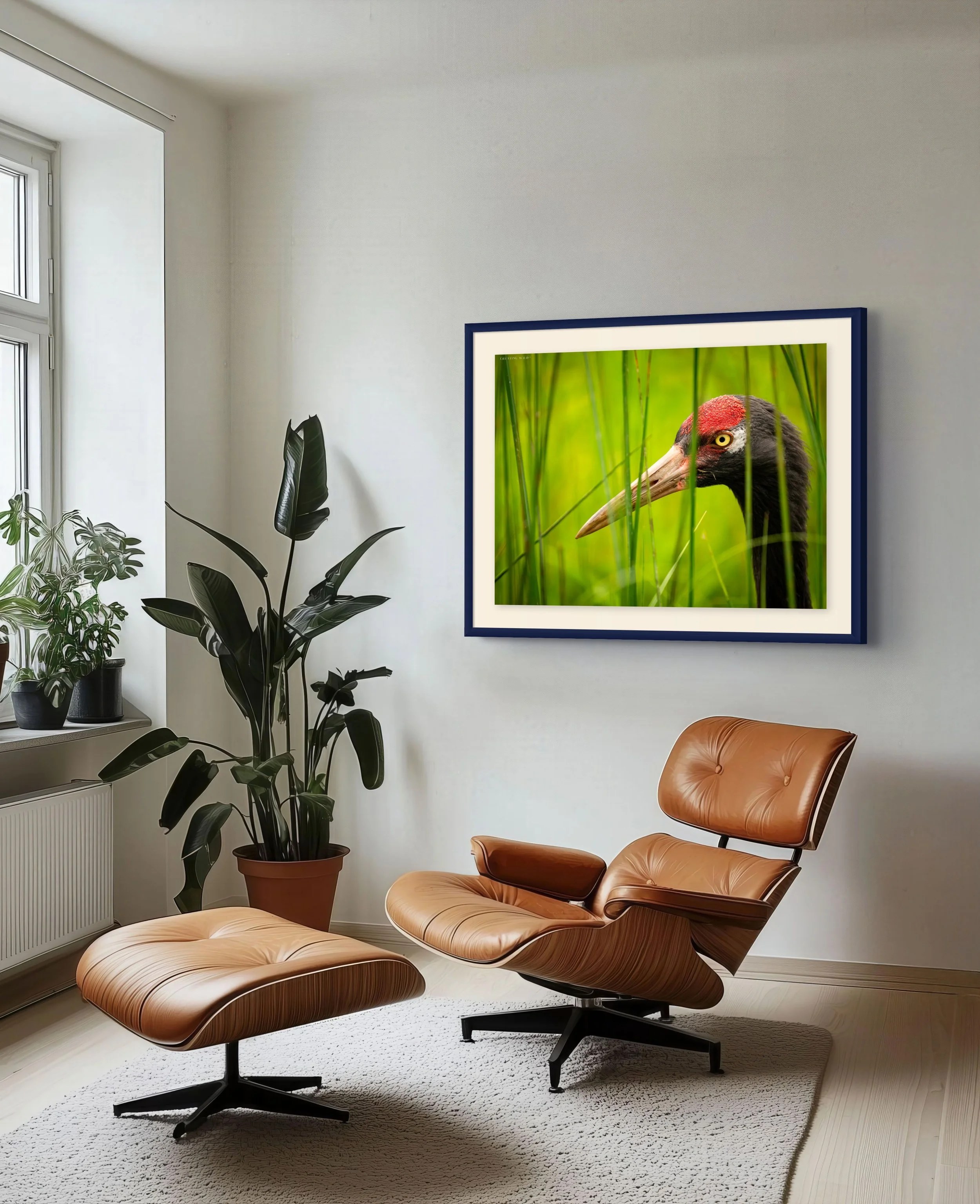 black-necked crane-full.jpg
