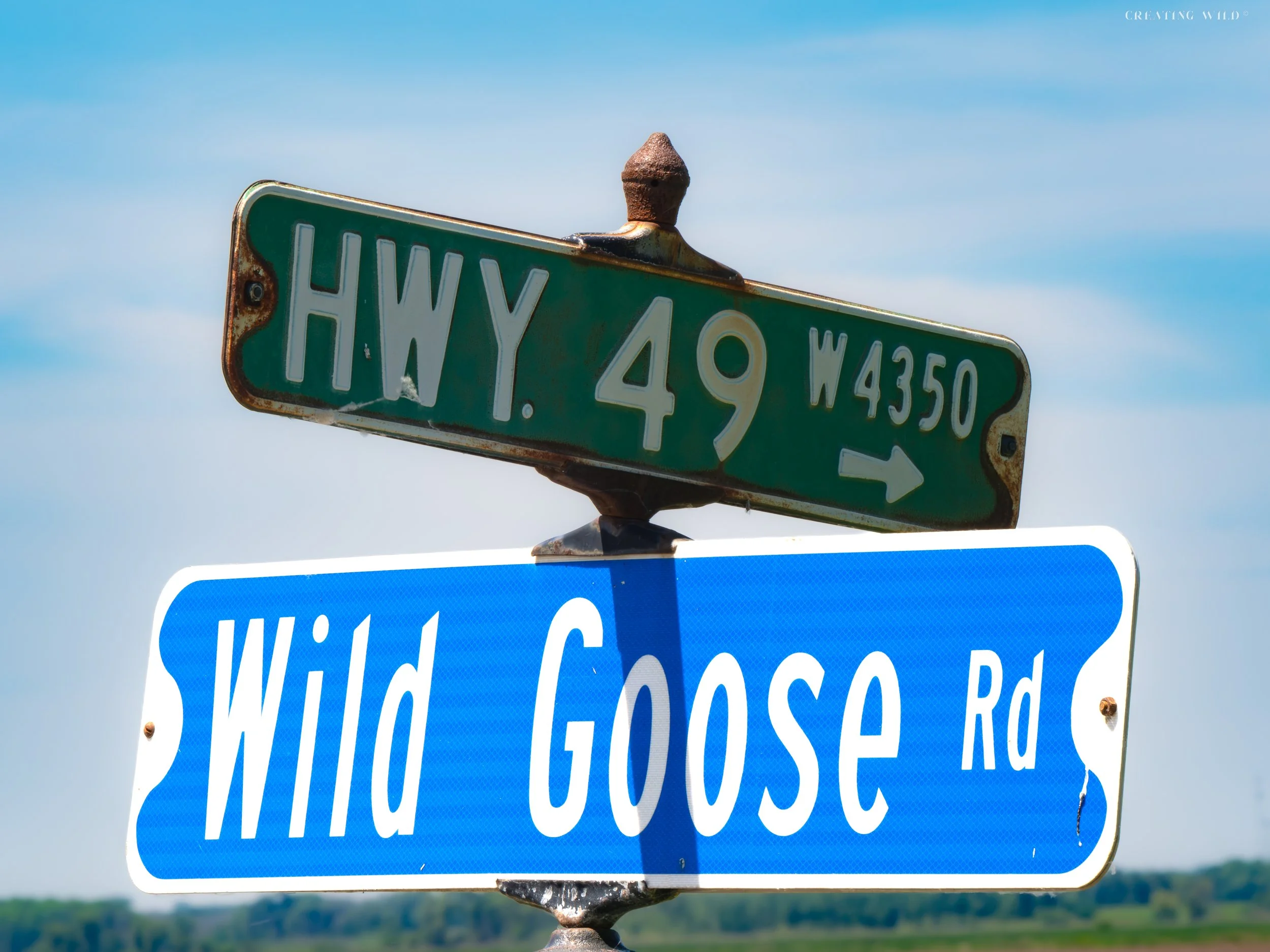 Wild Goose Rd Sign