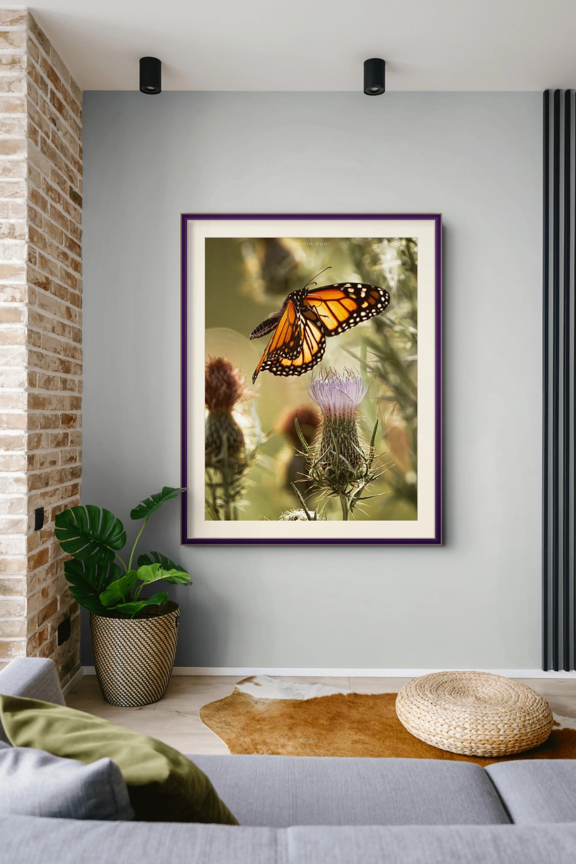 monarch-2-full.jpg