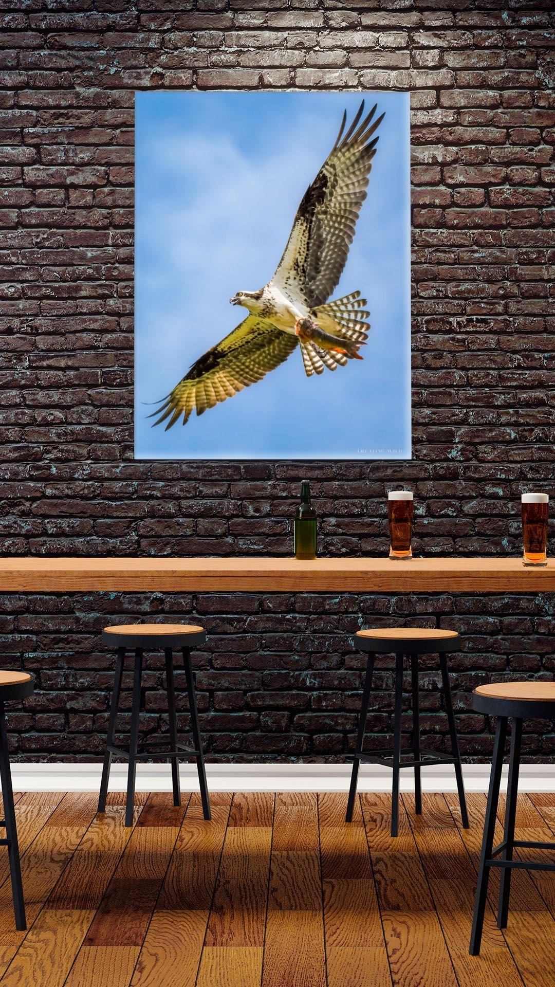 osprey w fish-full-2 copy.jpg