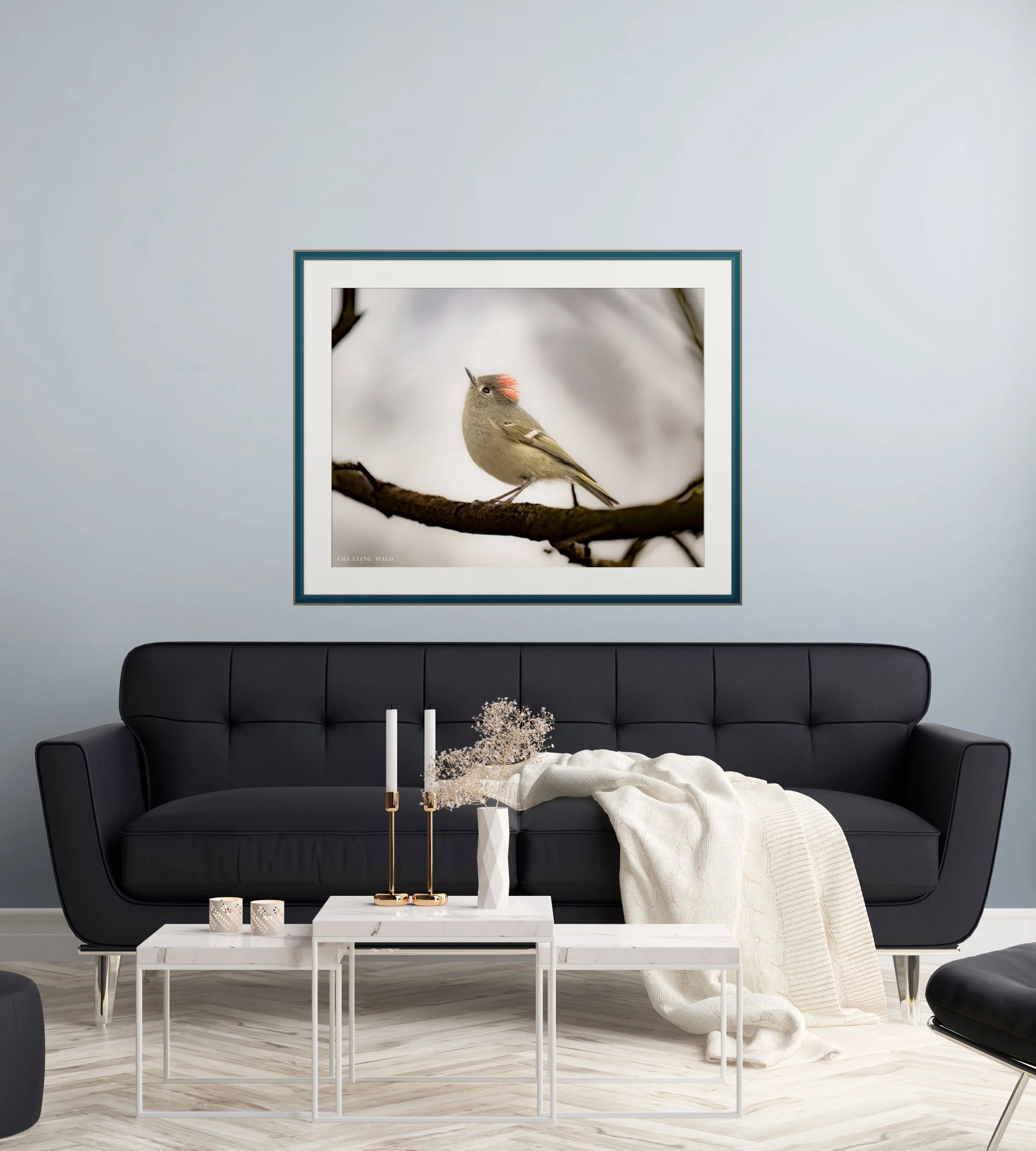 ruby crowned kinglet-full.jpg