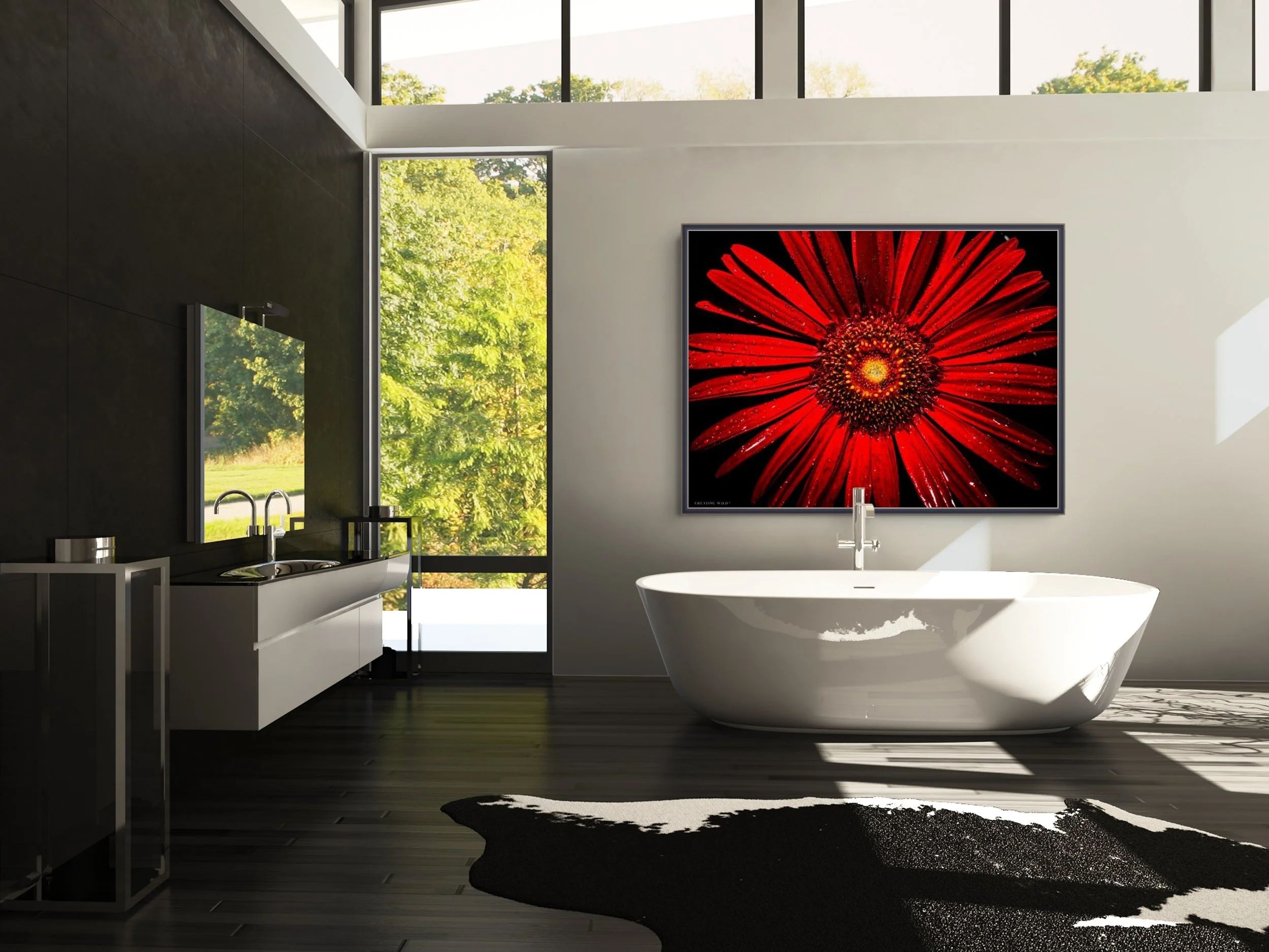 daisy red  screen-full.jpg