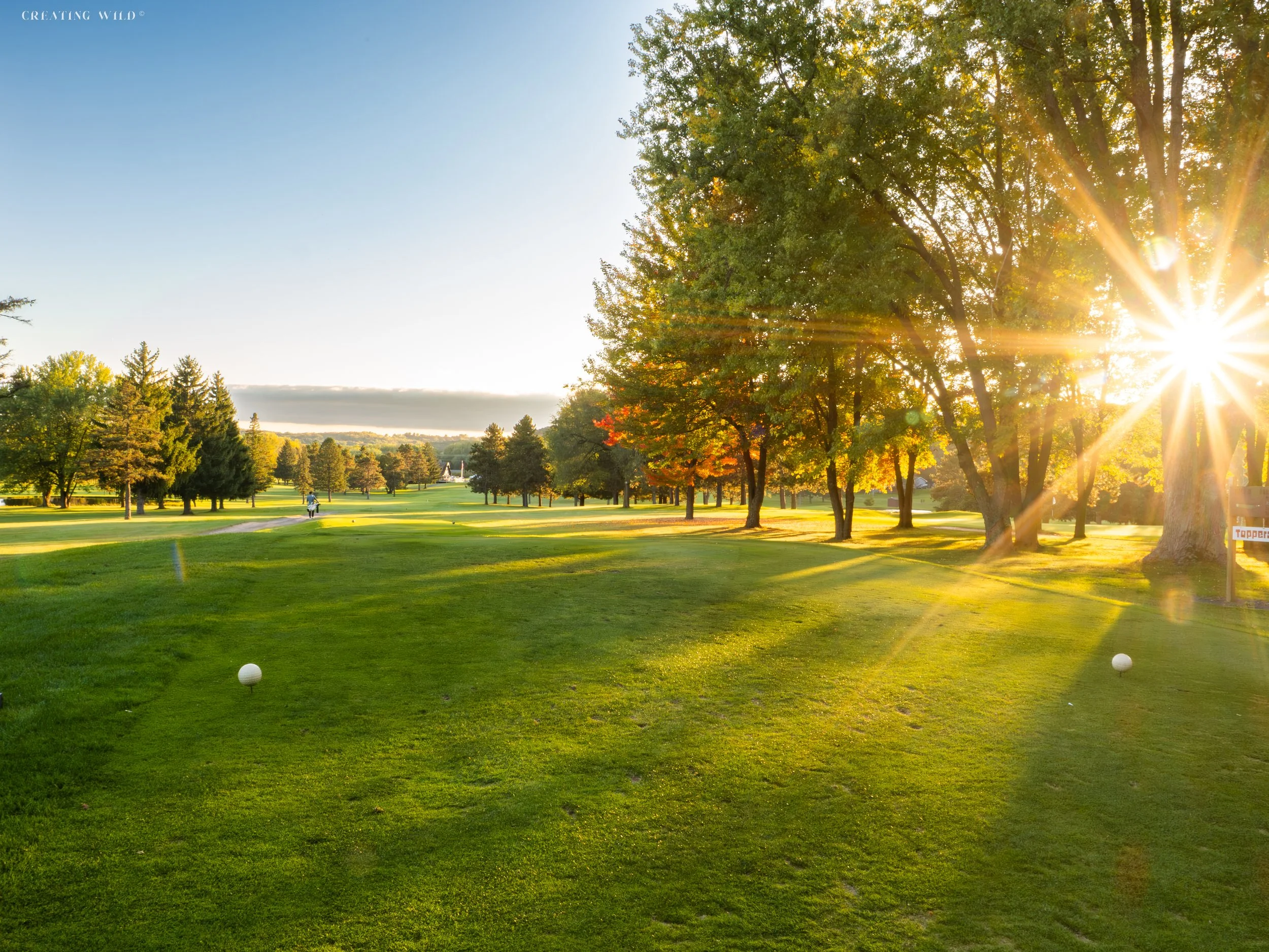Sunburst Prince ( Princeton Valley Golf )